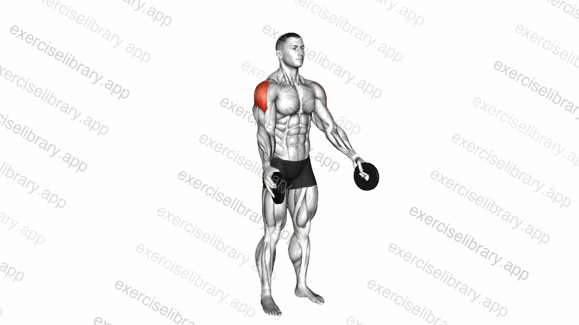 Weighted Full Can Exercise demonstration