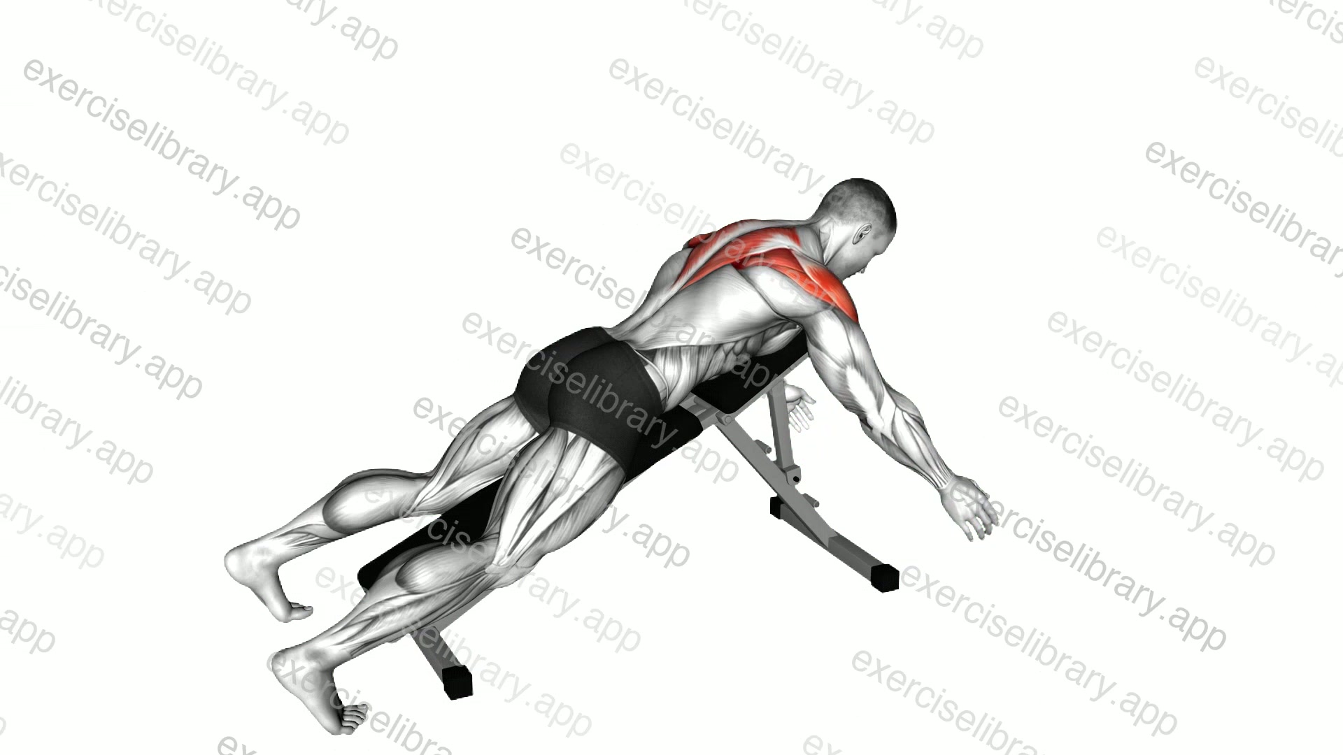 Prone Y Raise demonstration