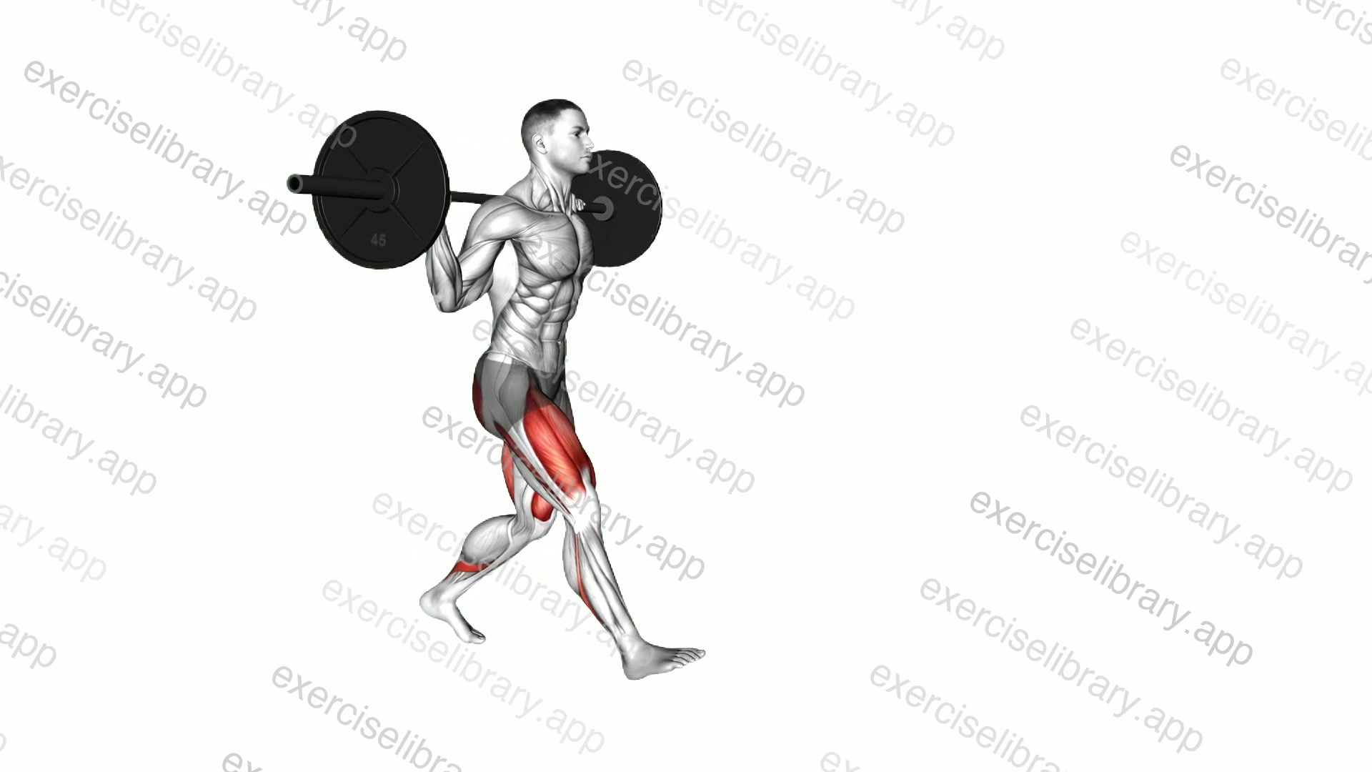 Barbell Walking Lunge demonstration