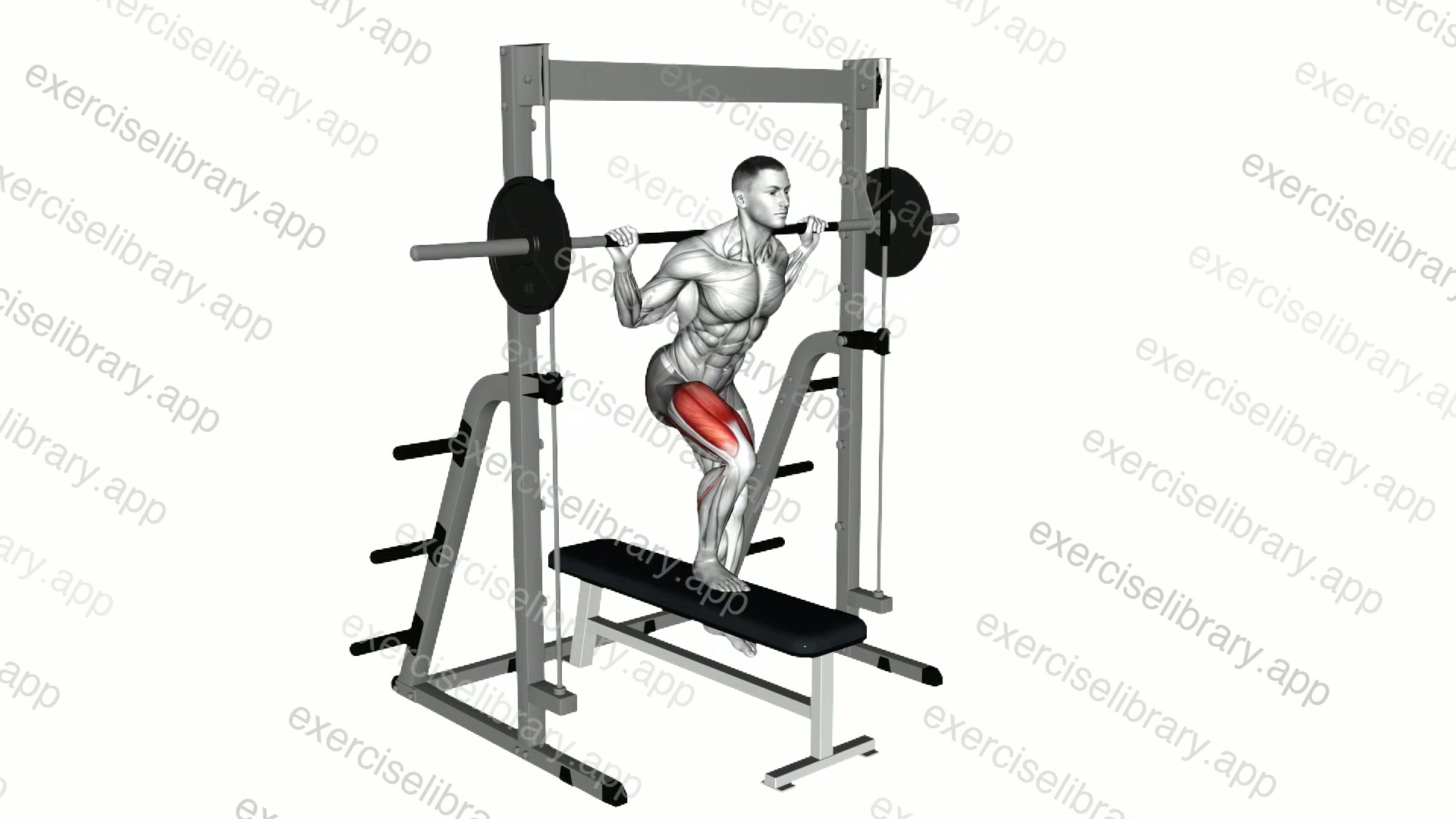Smith Lateral Step-up demonstration