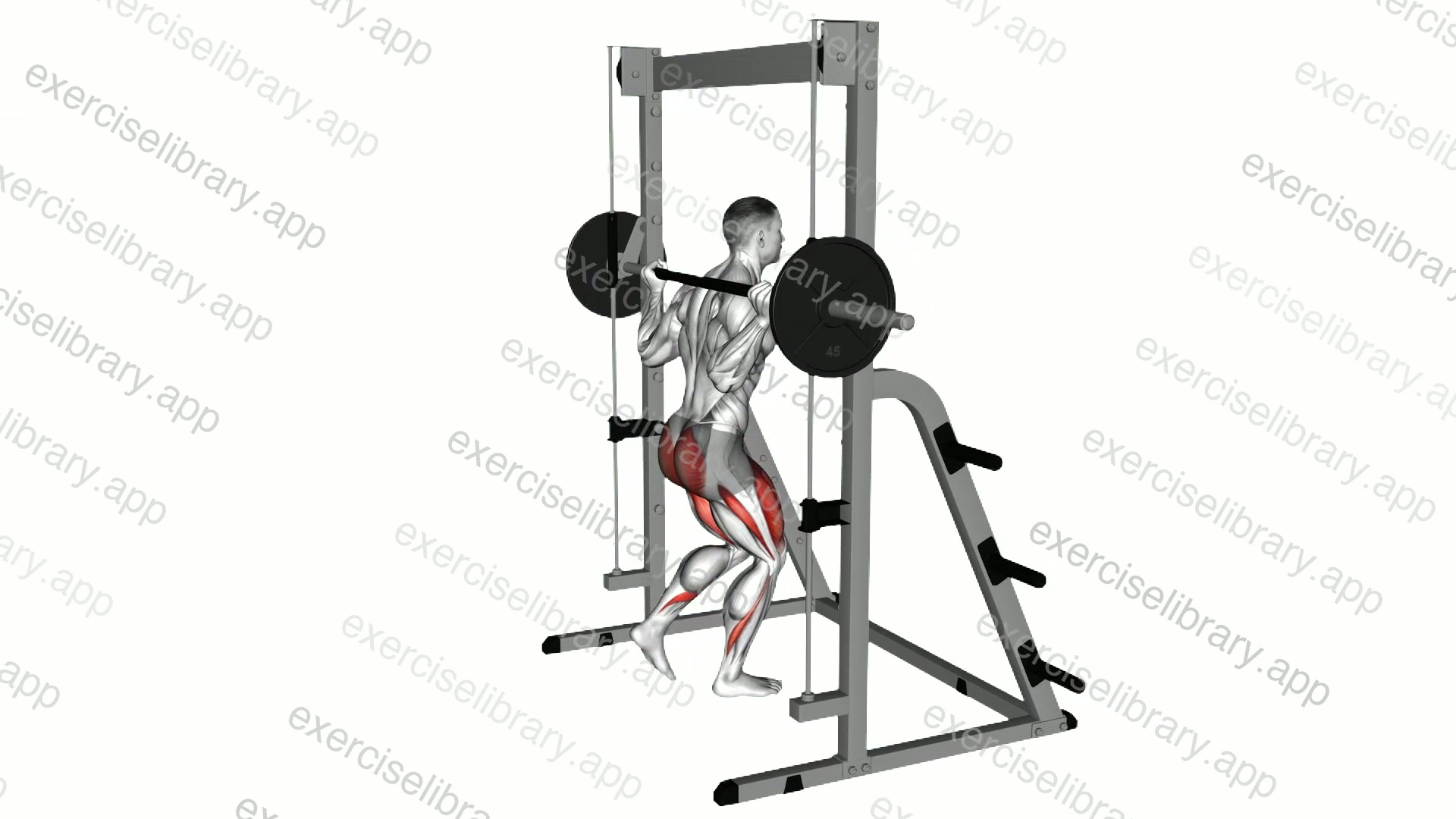 Smith Rear Lunge demonstration