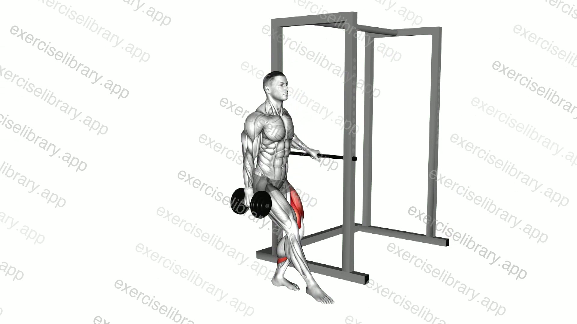 Dumbbell Single Leg Squat with Support demonstration