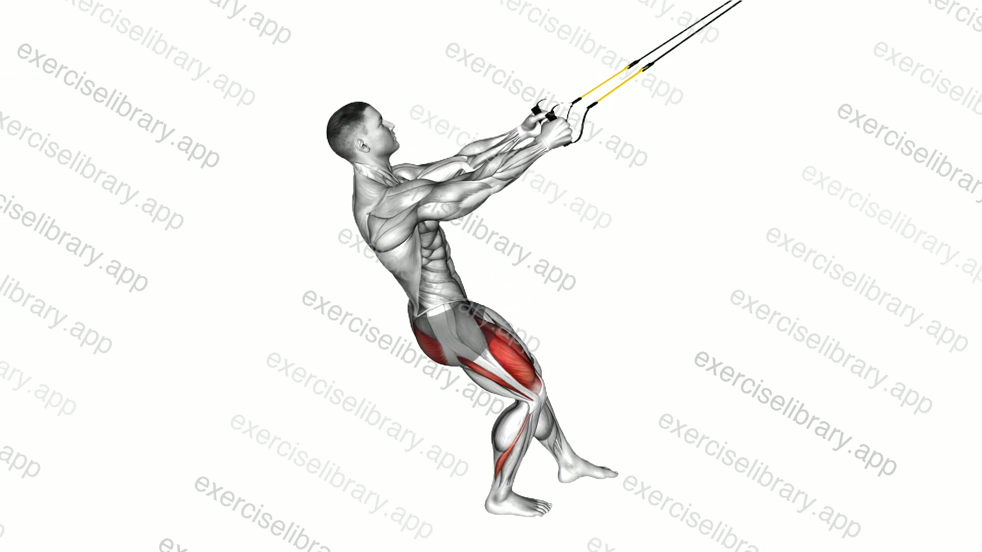 Suspender Single Leg Squat demonstration