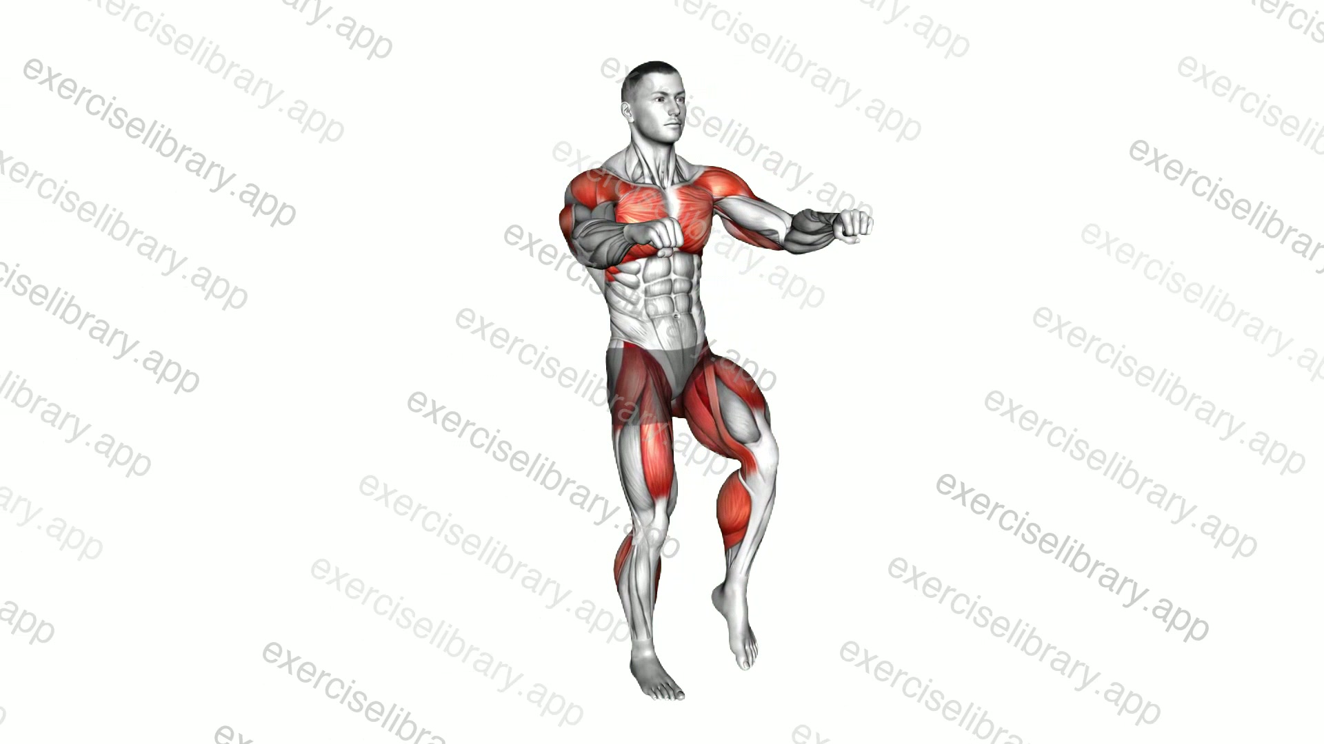 Double Punch Front Leg Lift demonstration