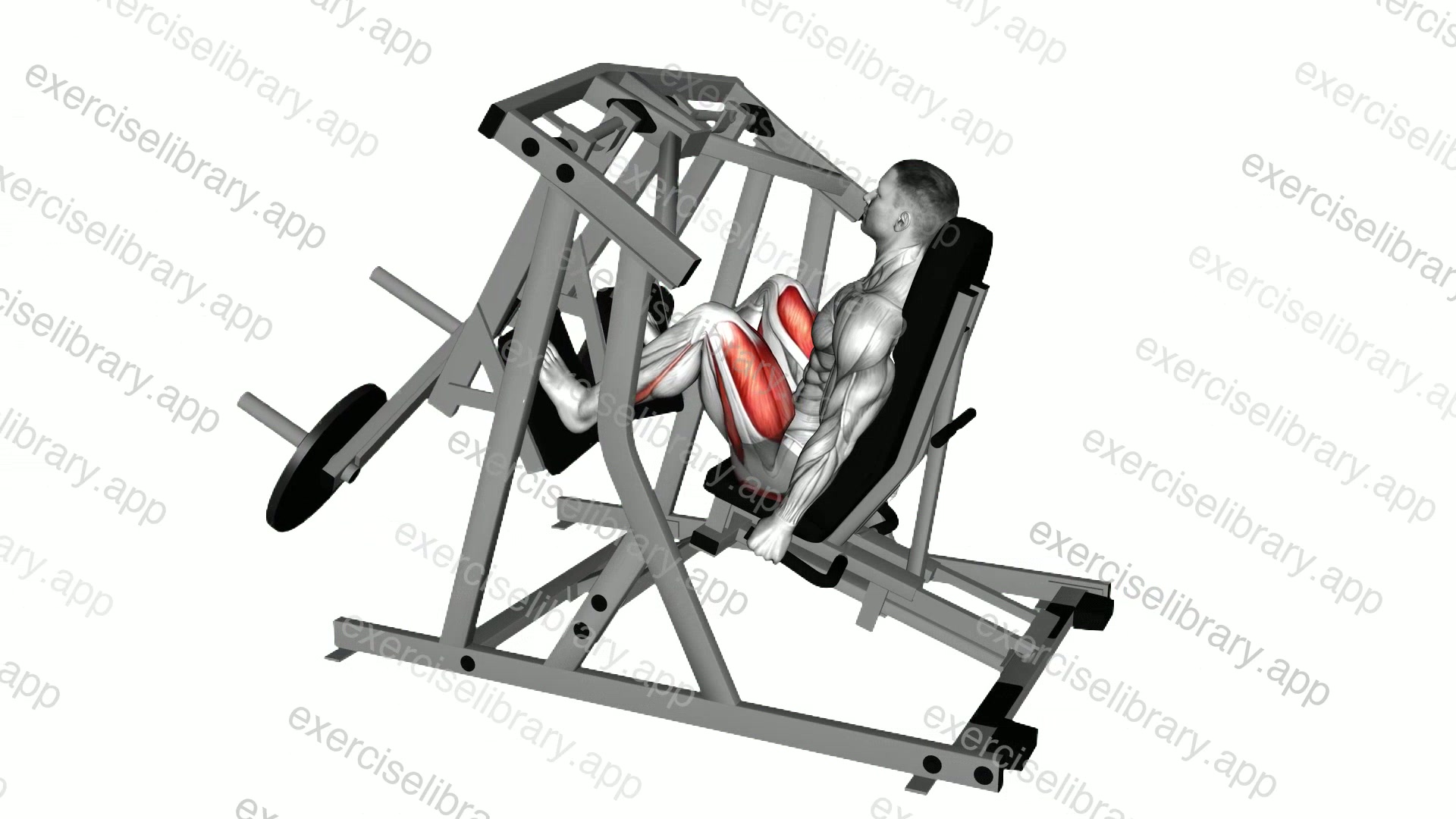 Lever Leg Press demonstration