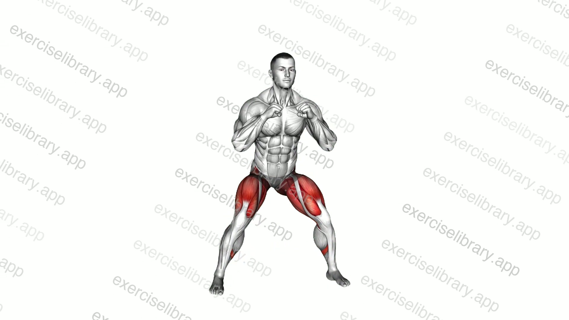 Heel to Heel Tap demonstration