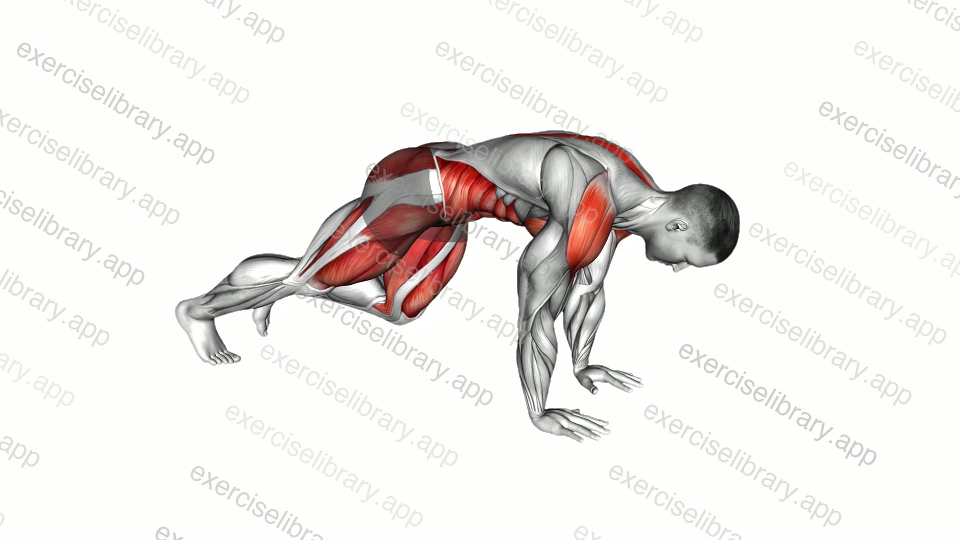 Mountain Climber Lunge demonstration