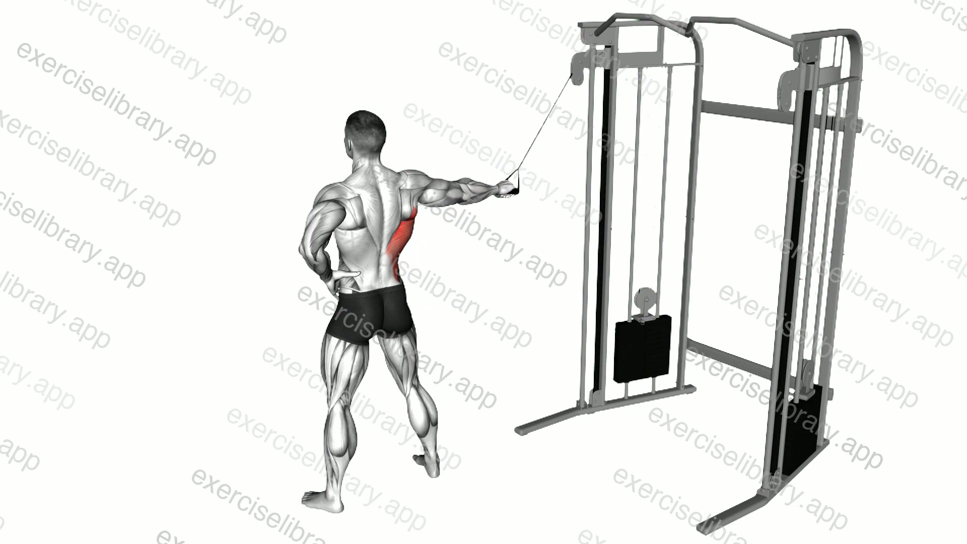 Single Arm Side Straight Arm Lat Pulldown demonstration