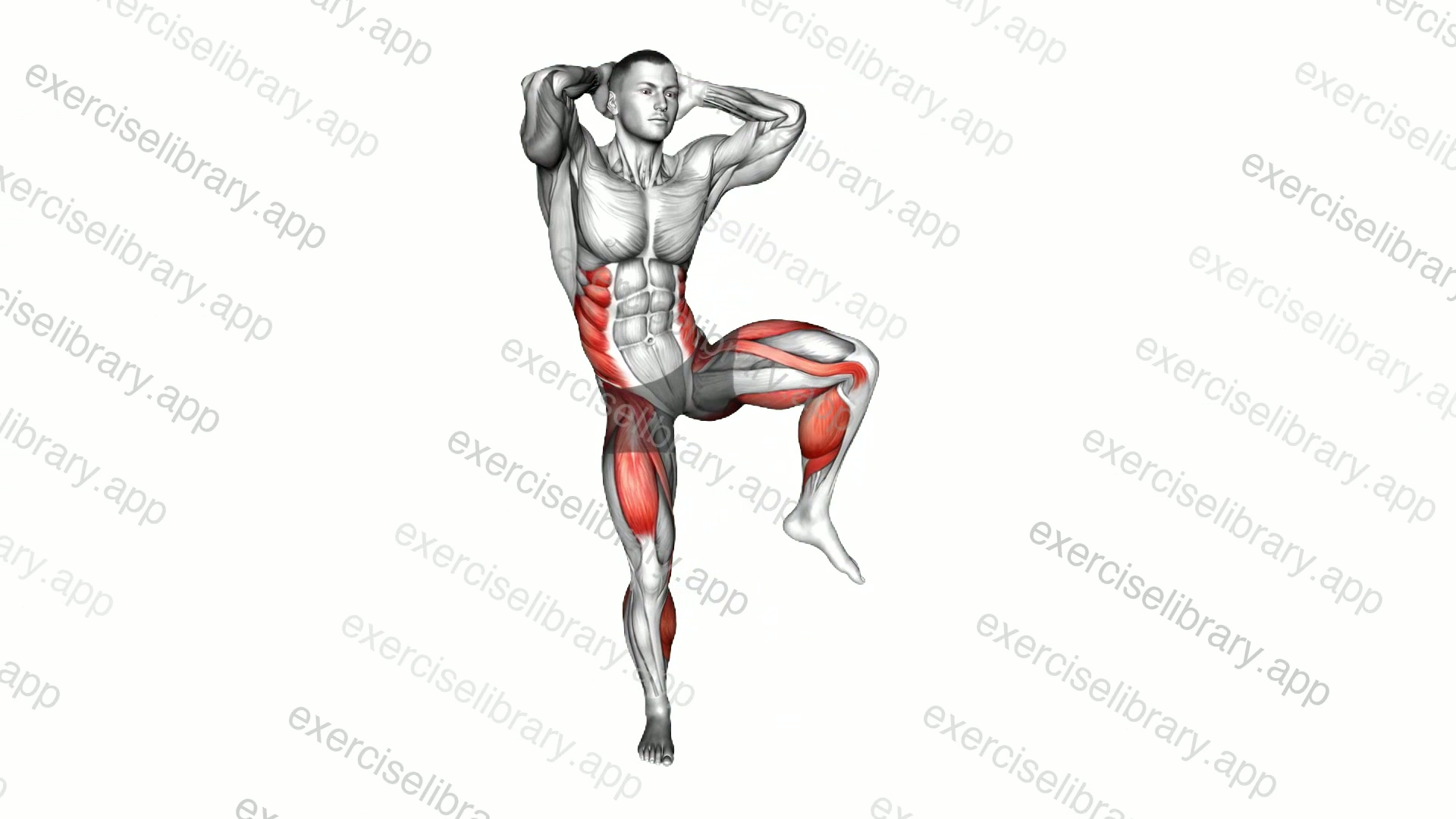 Standing Side Crunch demonstration