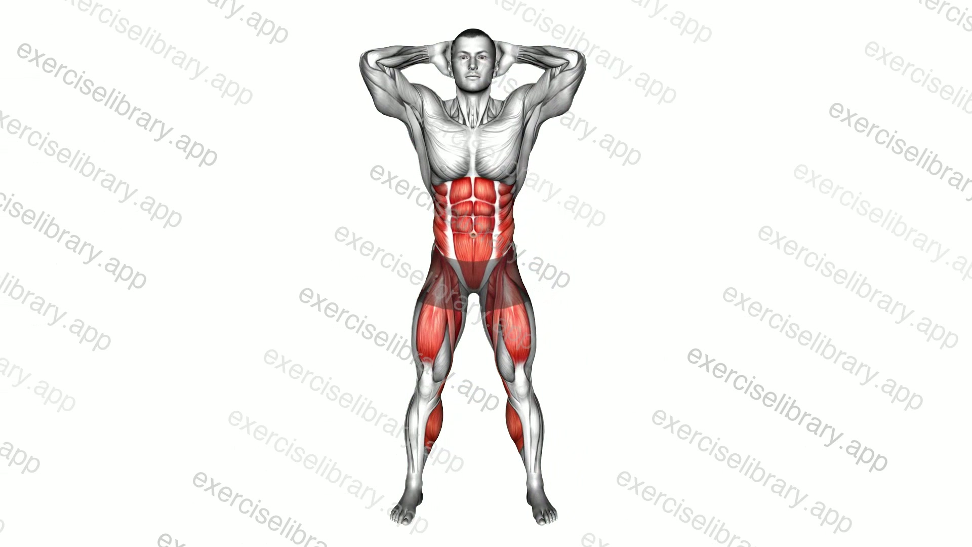 Cross Standing Crunch demonstration