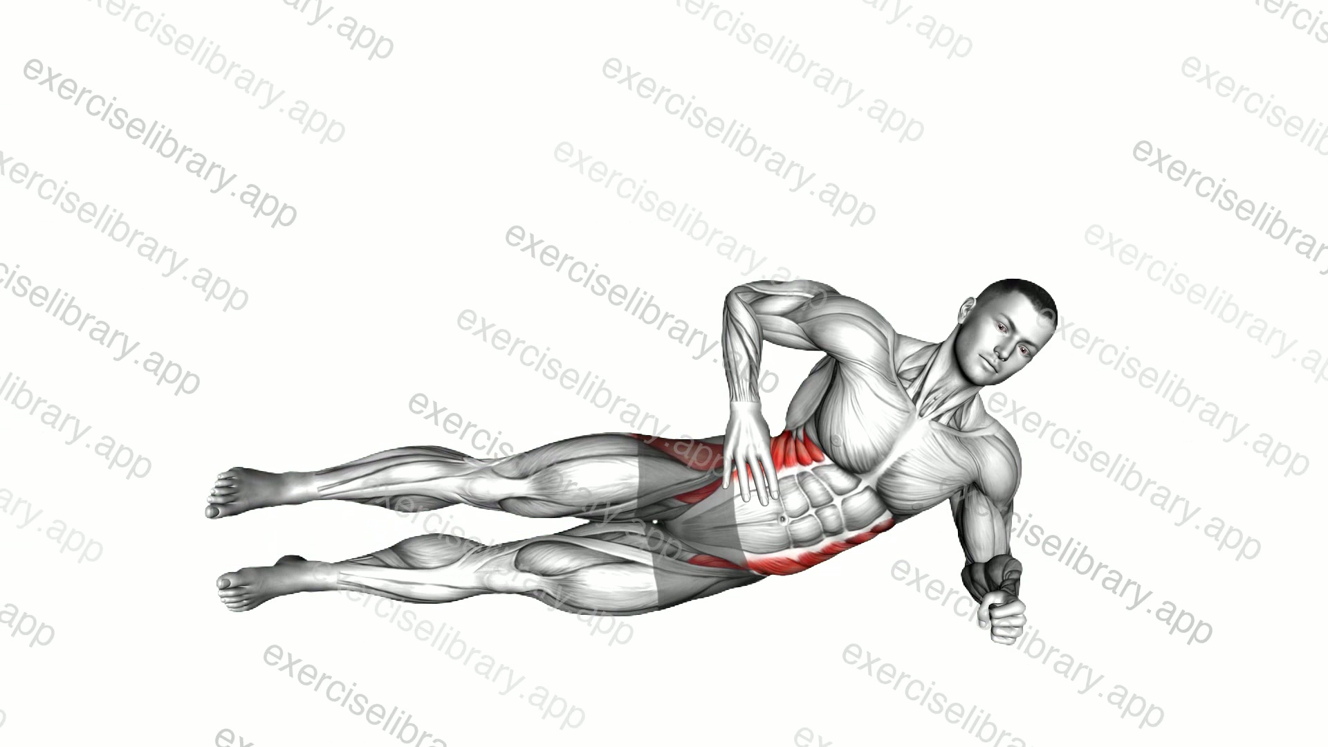 Lying Obliques Scissors demonstration