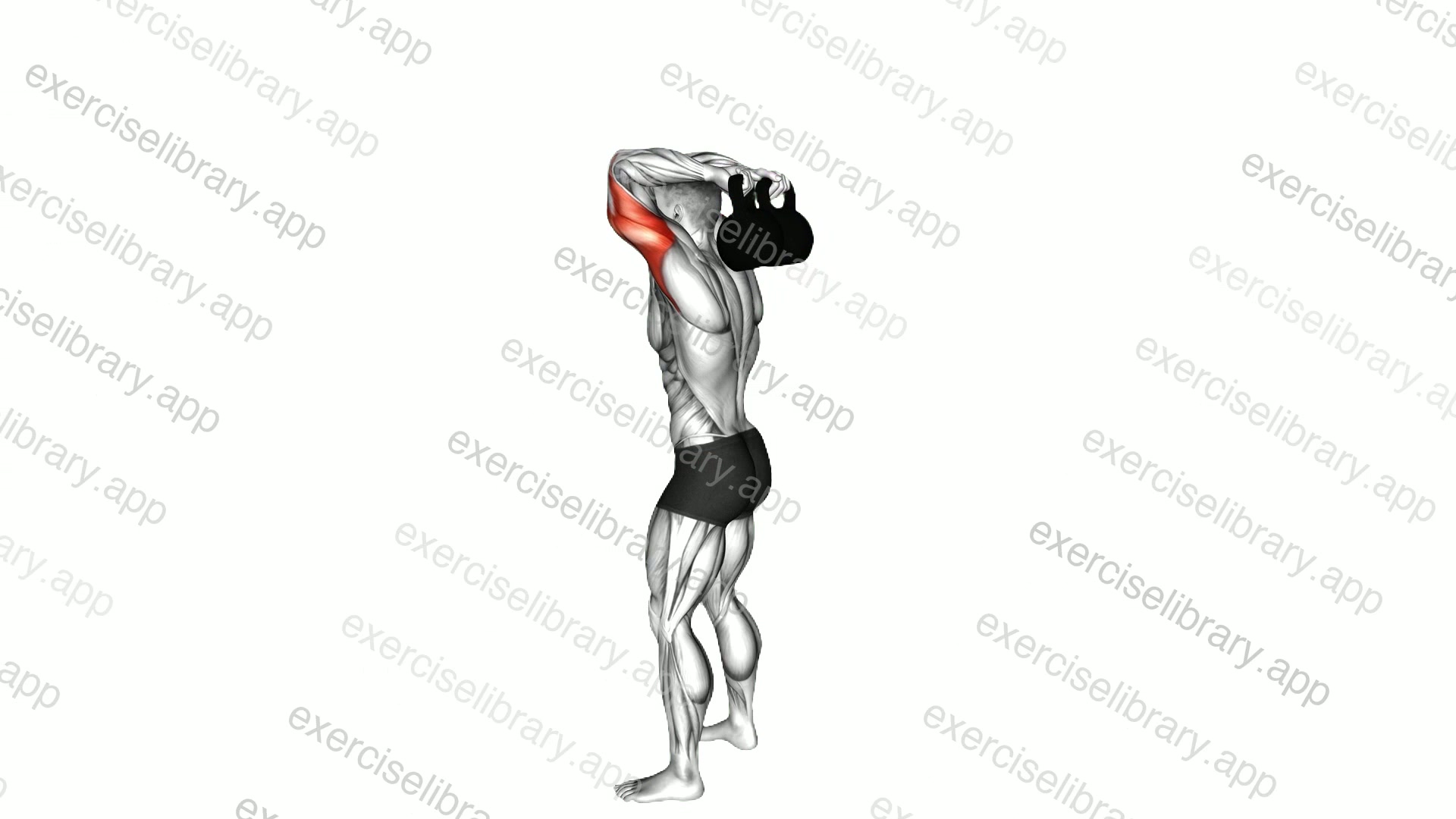 Kettlebell Overhead Triceps Extension demonstration