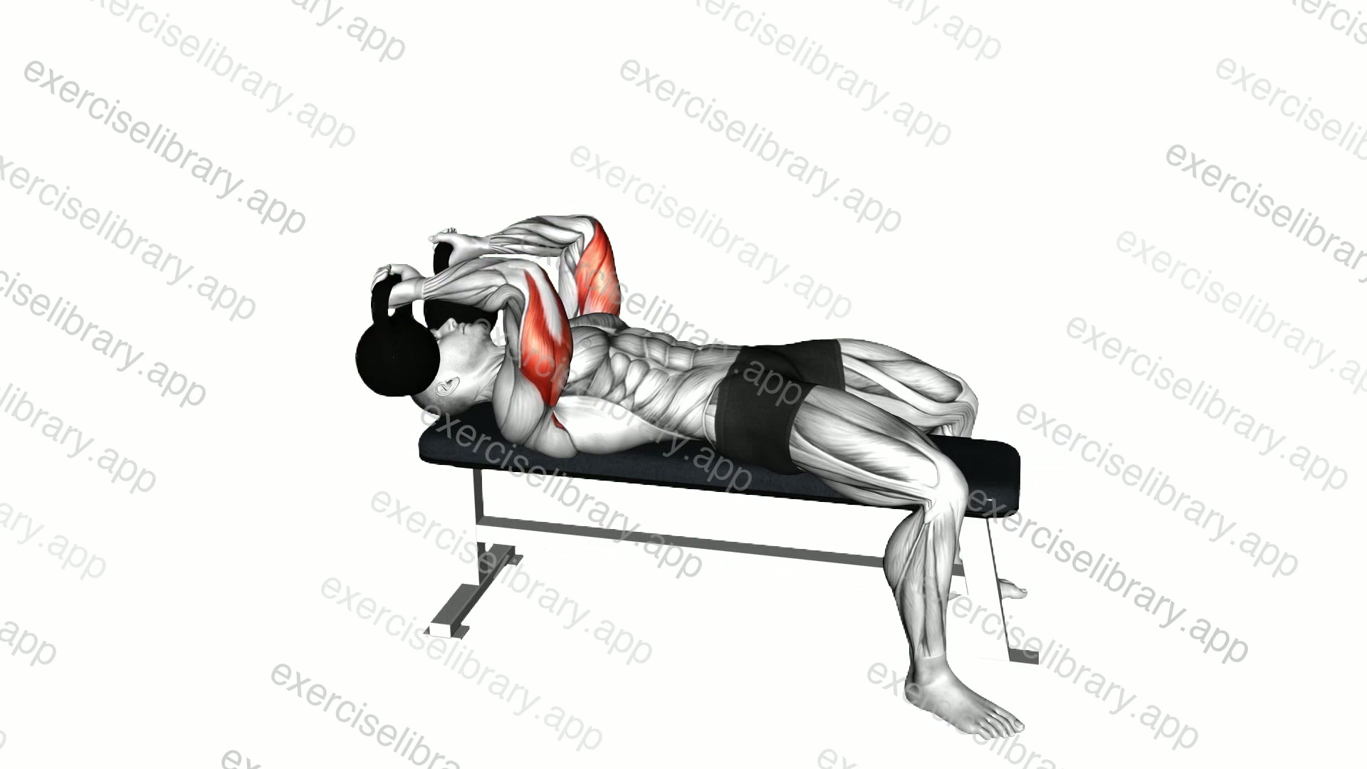 Kettlebell Lying Triceps Extension Skull Crusher demonstration