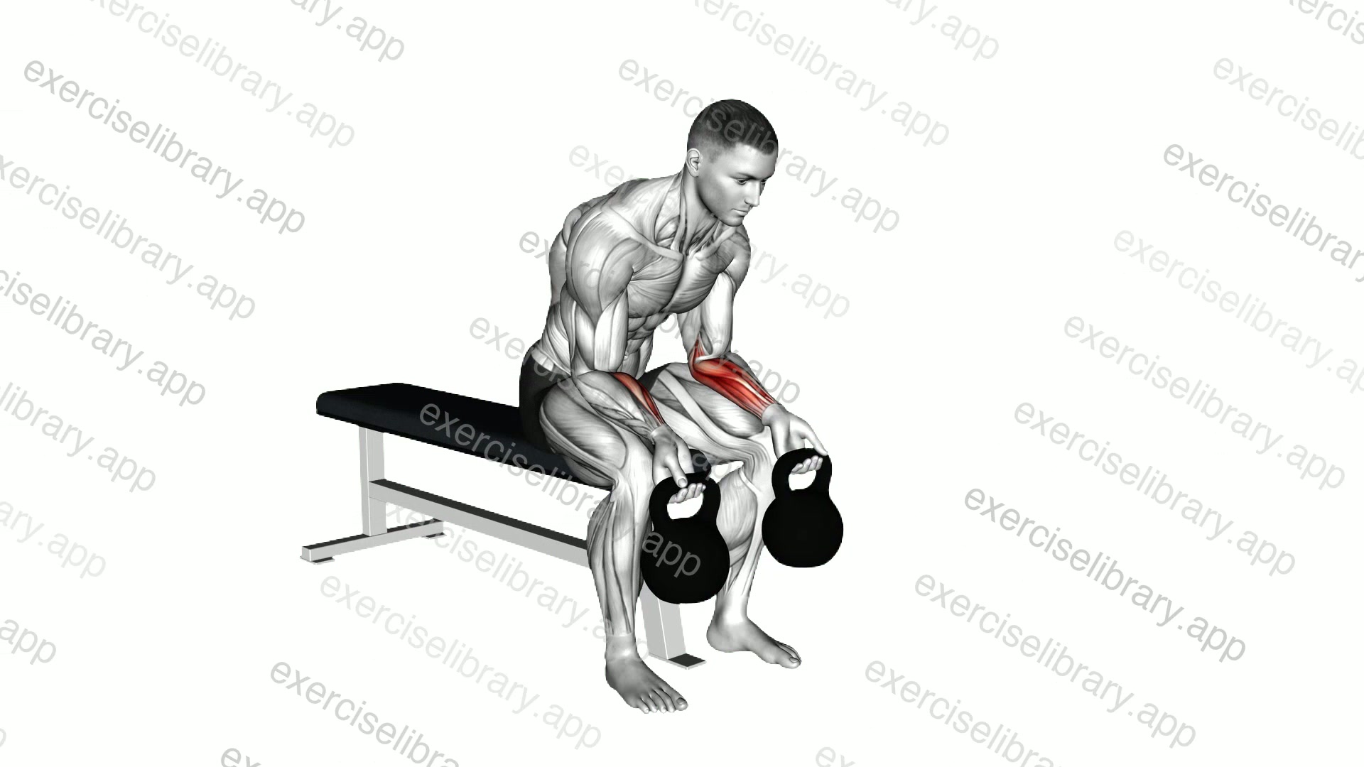 Kettlebell Wrist Curl demonstration