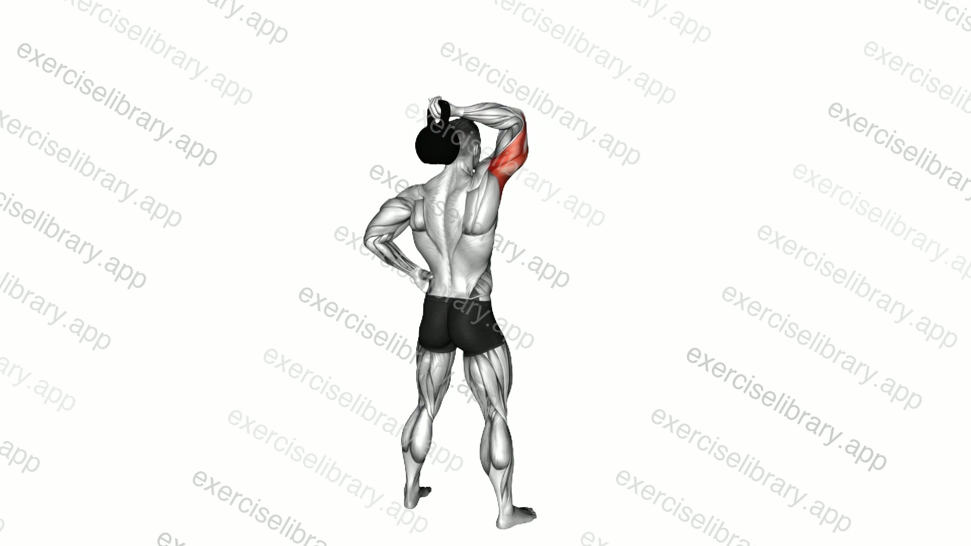 Kettlebell Standing One Arm Extension demonstration