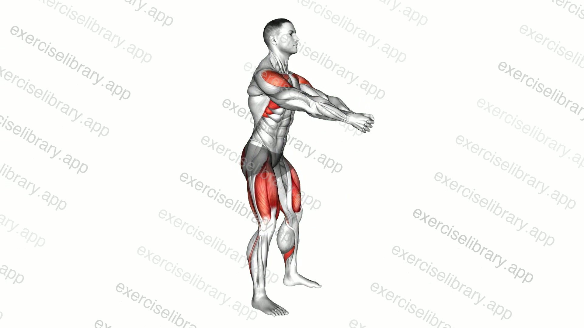 Bodyweight Swing demonstration