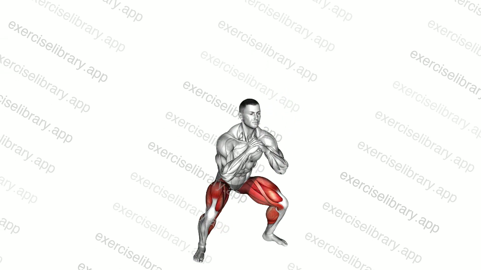 Wide Stance Jump Squat to Narrow Stance Jump Squat demonstration
