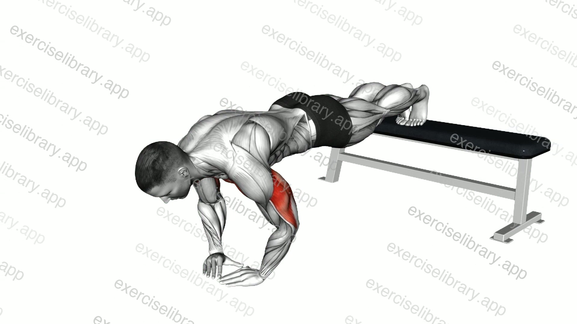 Decline Diamond Push-up demonstration