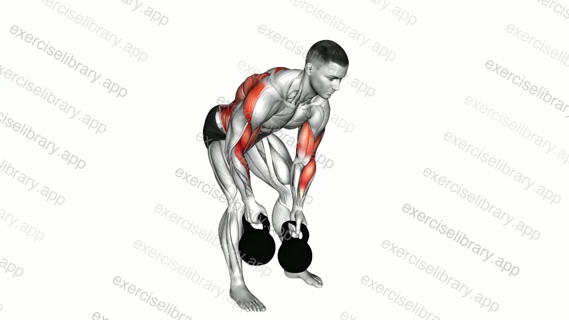 Kettlebell Bent over Alternate Twist Row demonstration