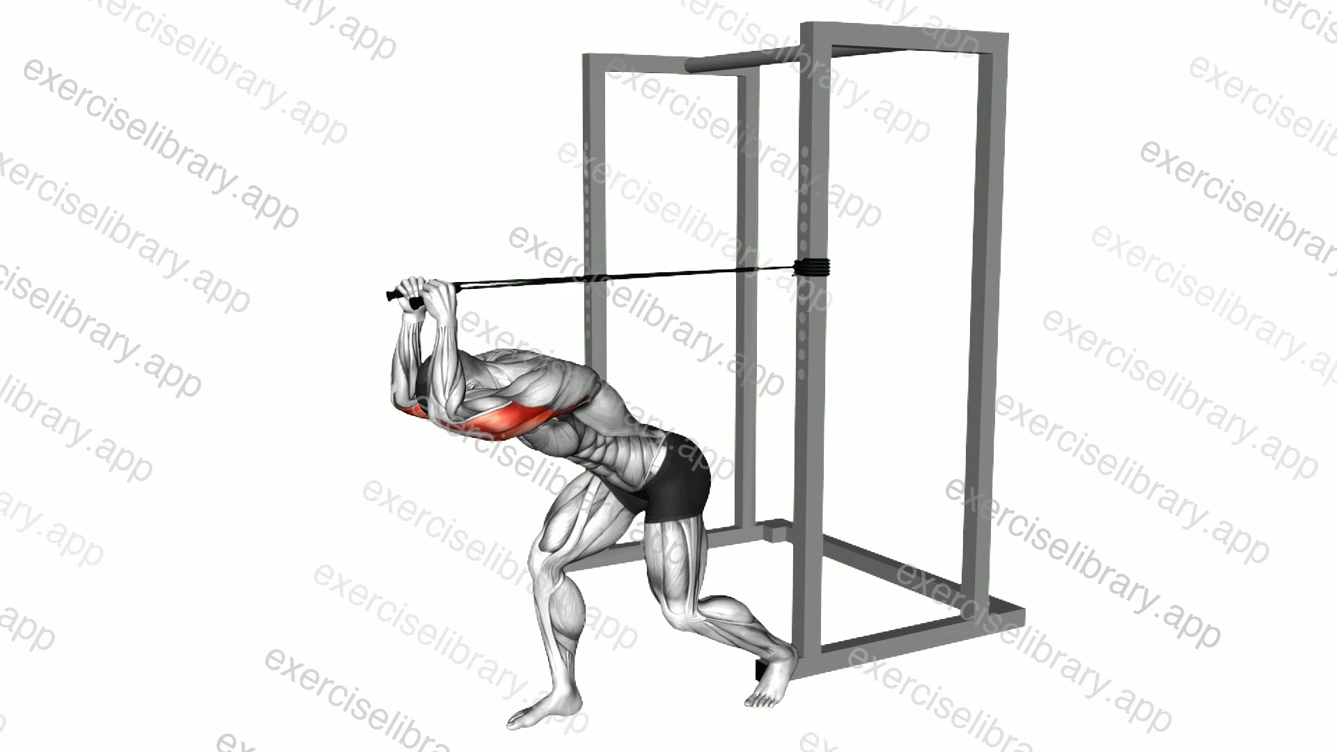 Band High Pulley Overhead Triceps Extension demonstration