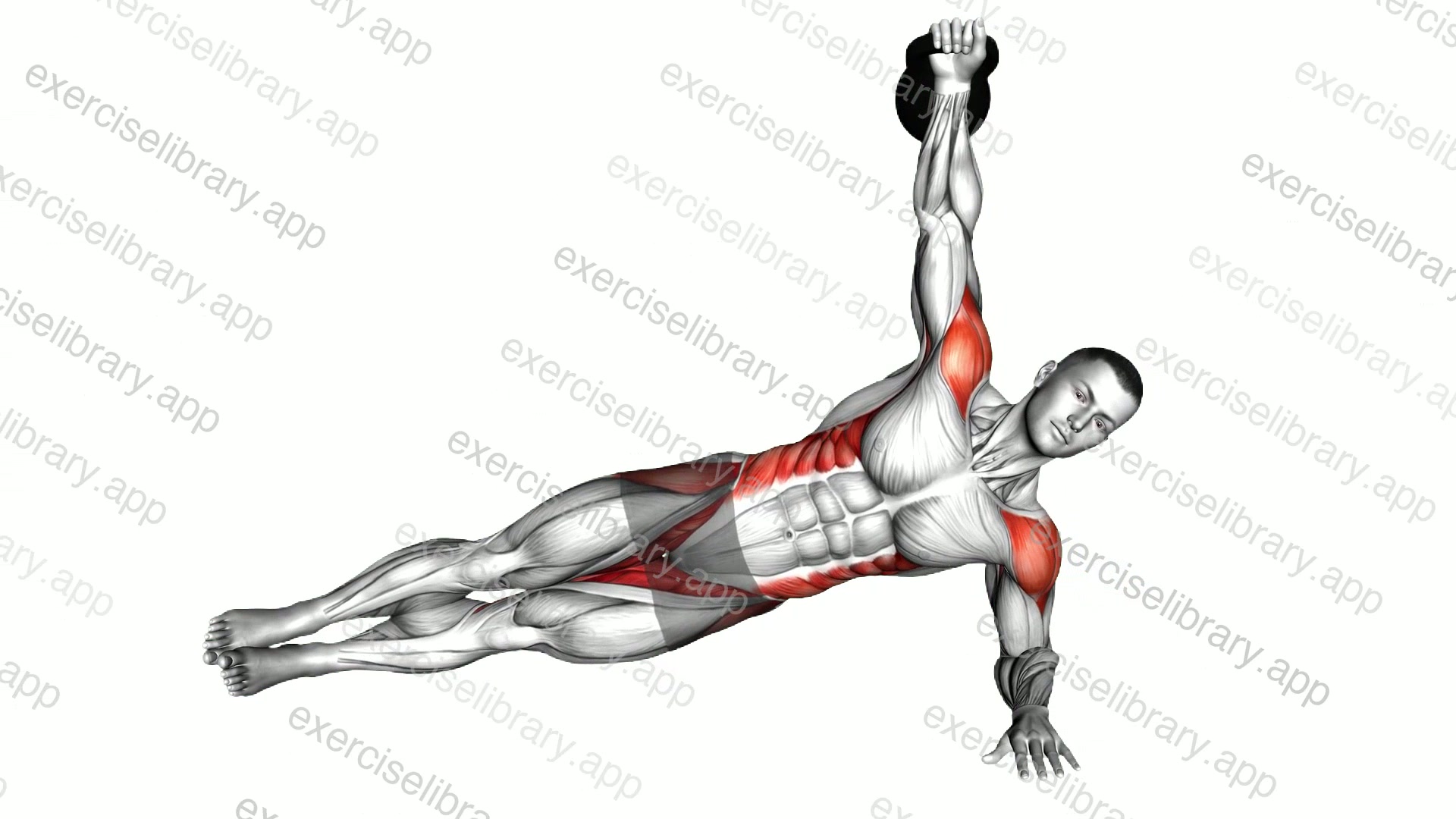 Kettlebell Side Plank demonstration
