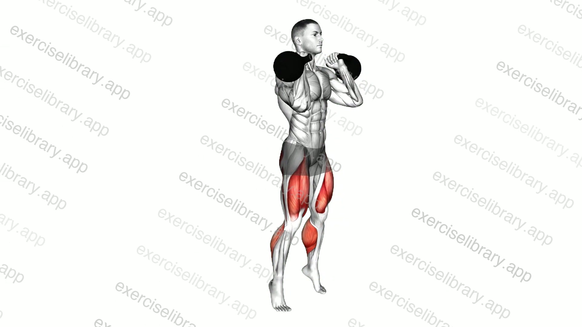 Kettlebell Calf Raise and Front Squat demonstration