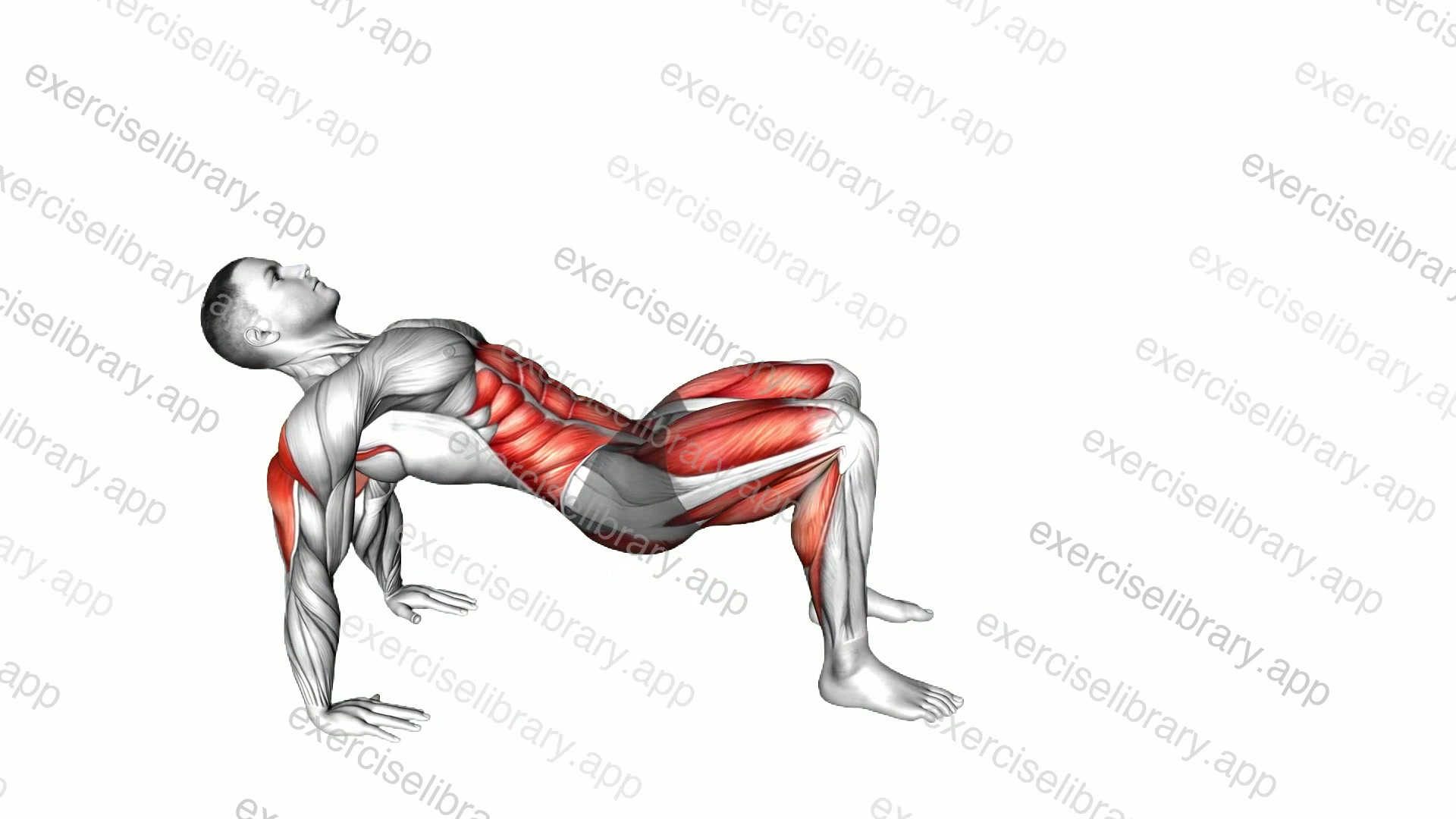 Crab Walk demonstration