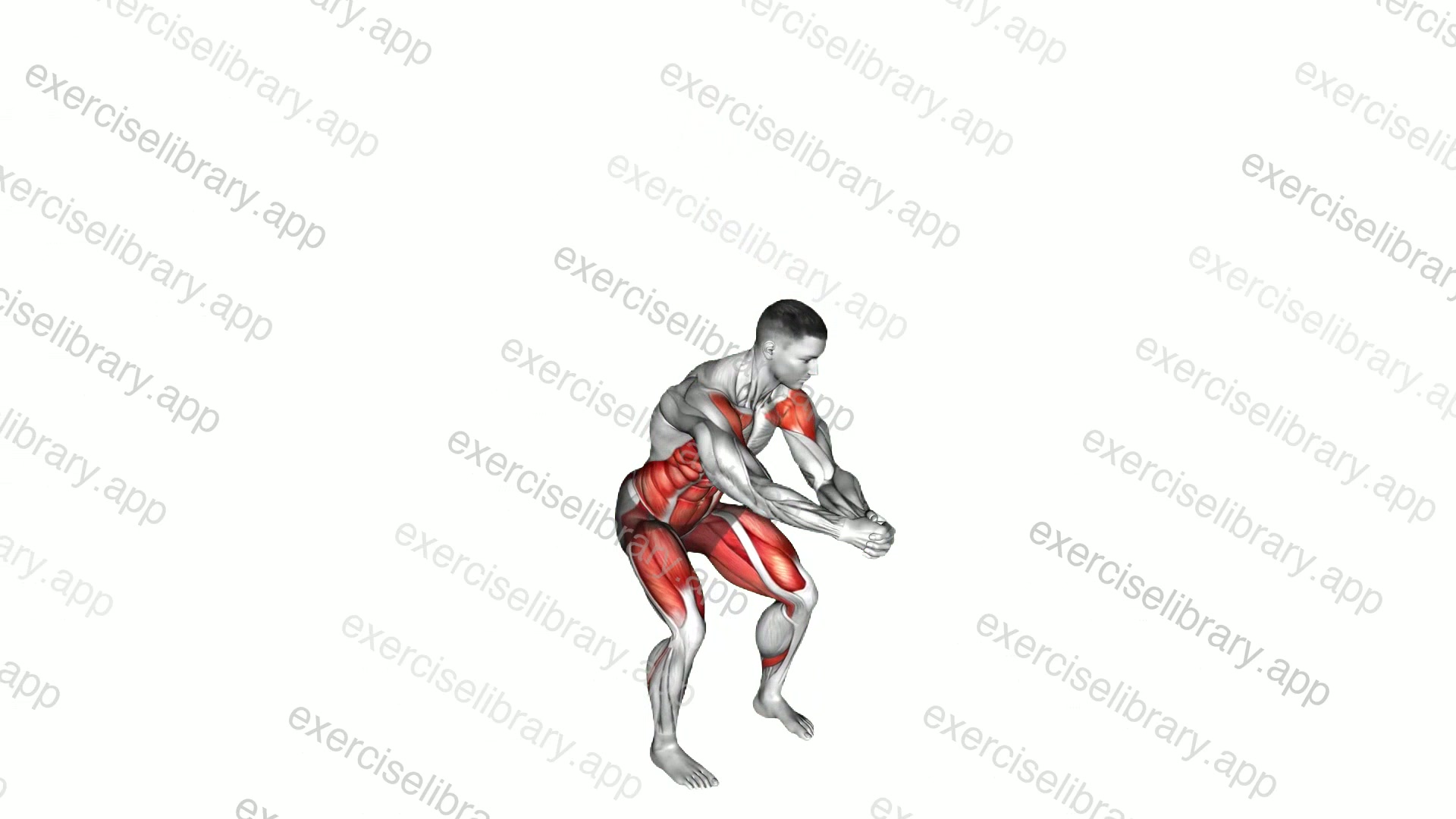 Bodyweight Wood Chop Squat demonstration