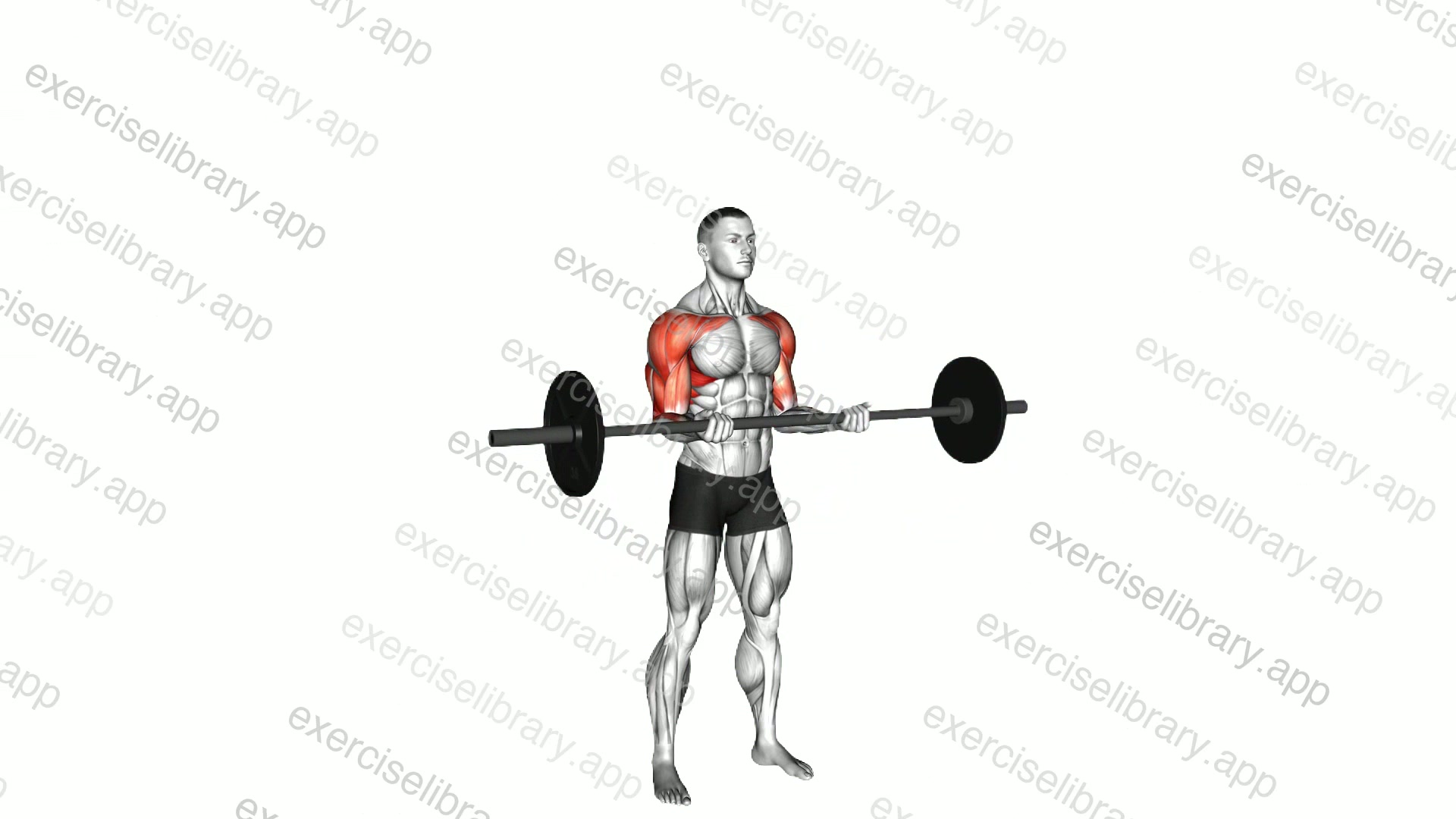 Barbell Curl Press Extension demonstration