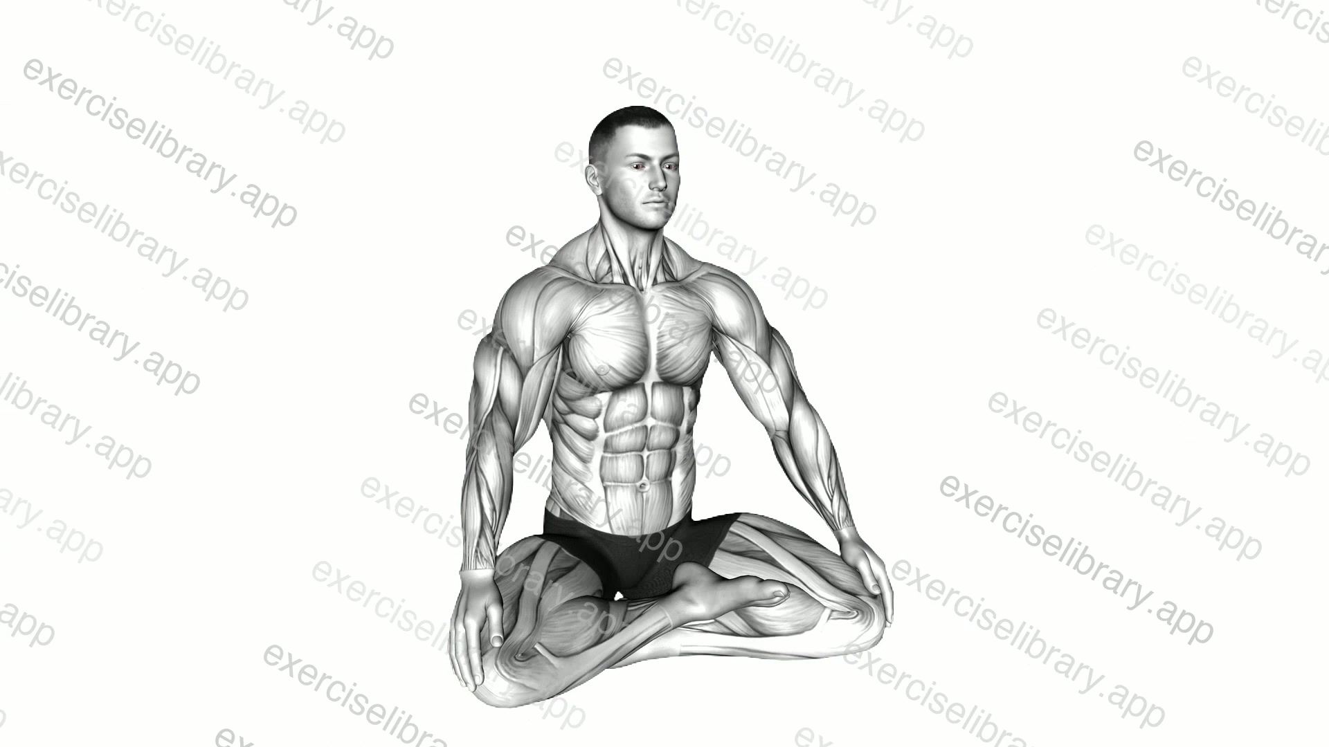 Lotus Pose Breathing demonstration