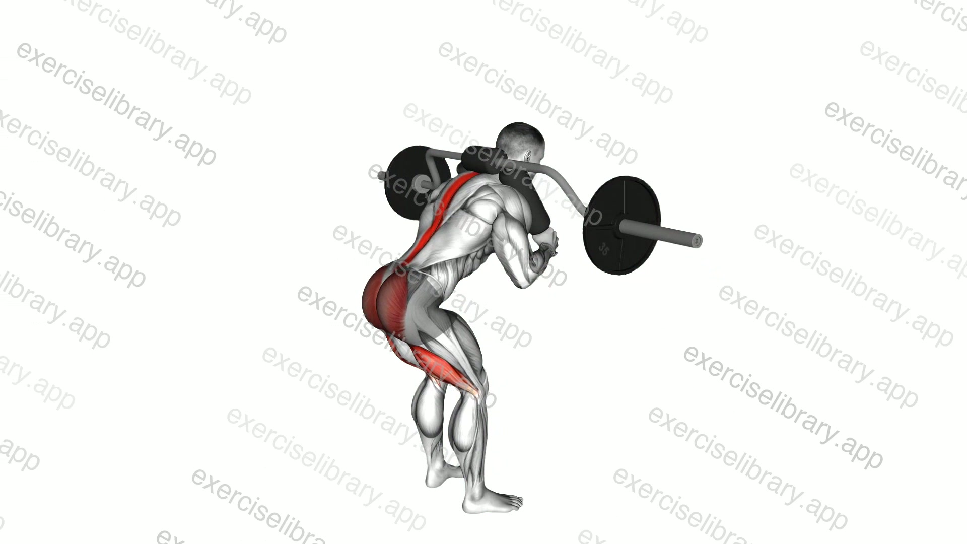 Safety Bar Good Morning demonstration