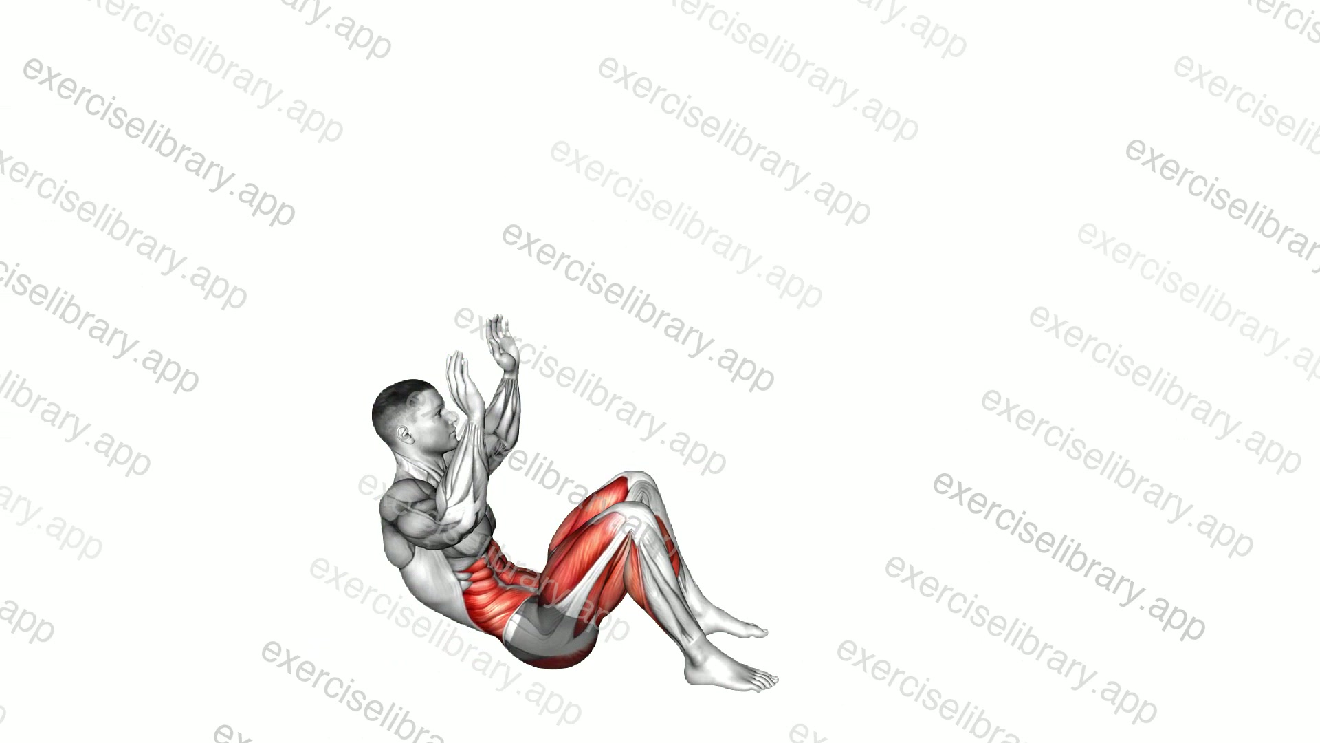 Fixed Feet Sit-Up Stand demonstration