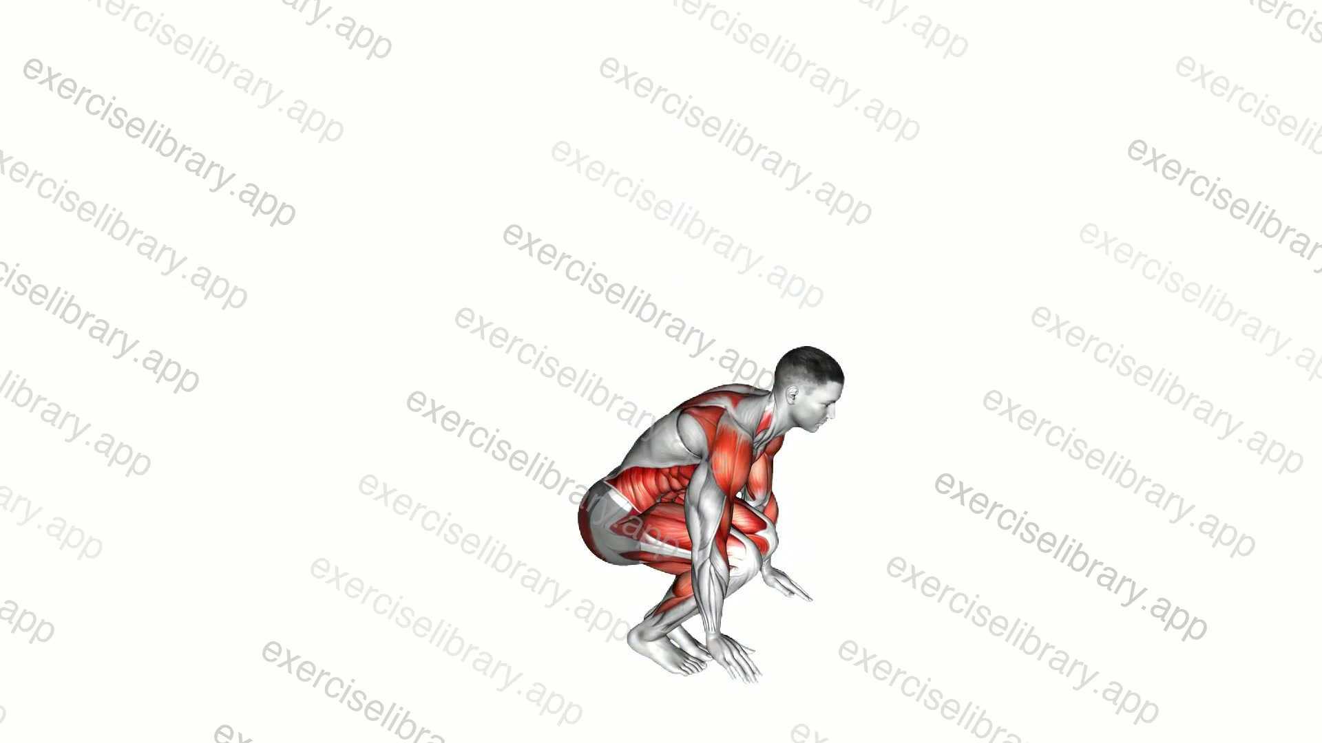 Burpee Shuffle demonstration