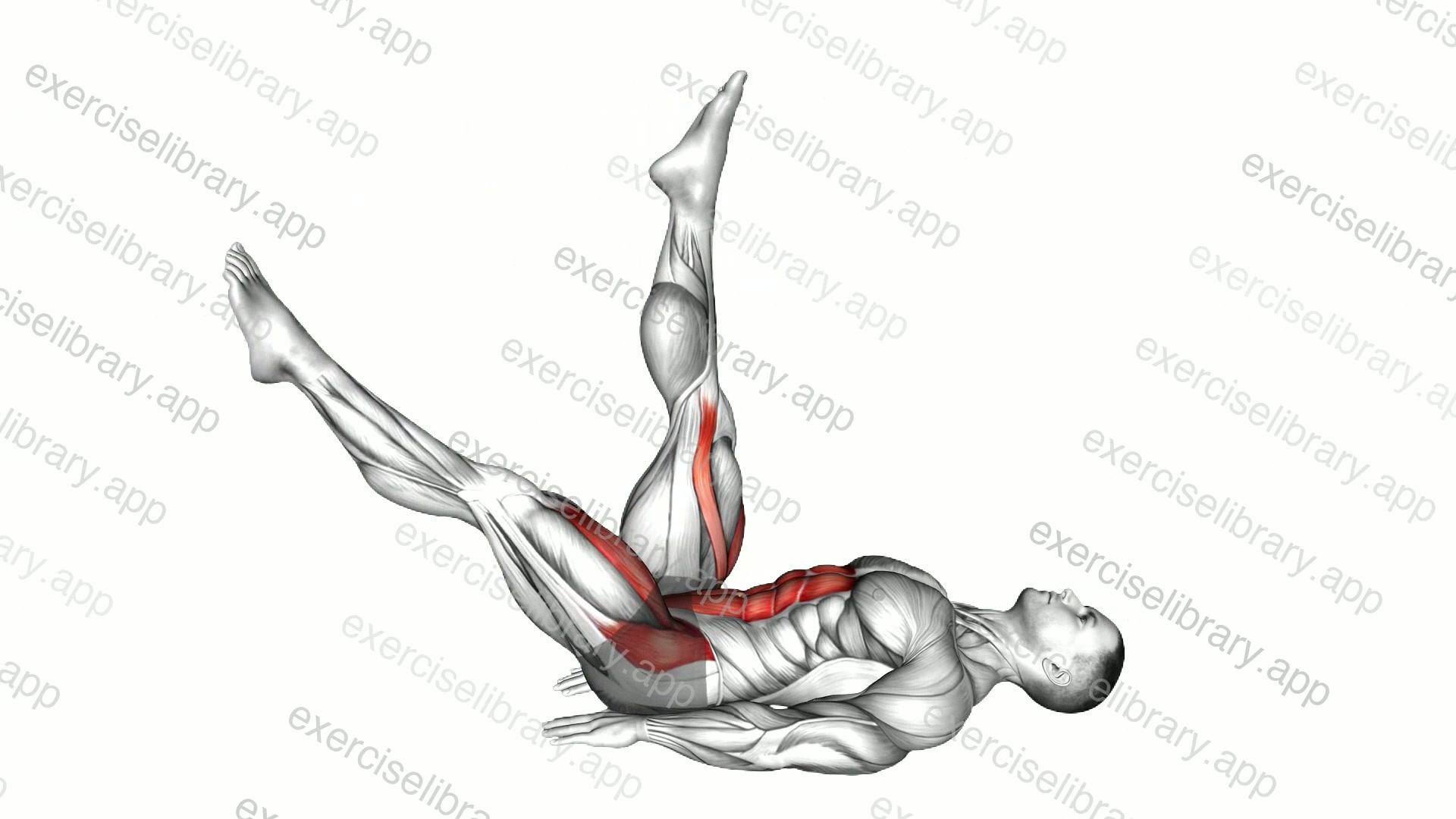 Lying Single Leg Raise demonstration