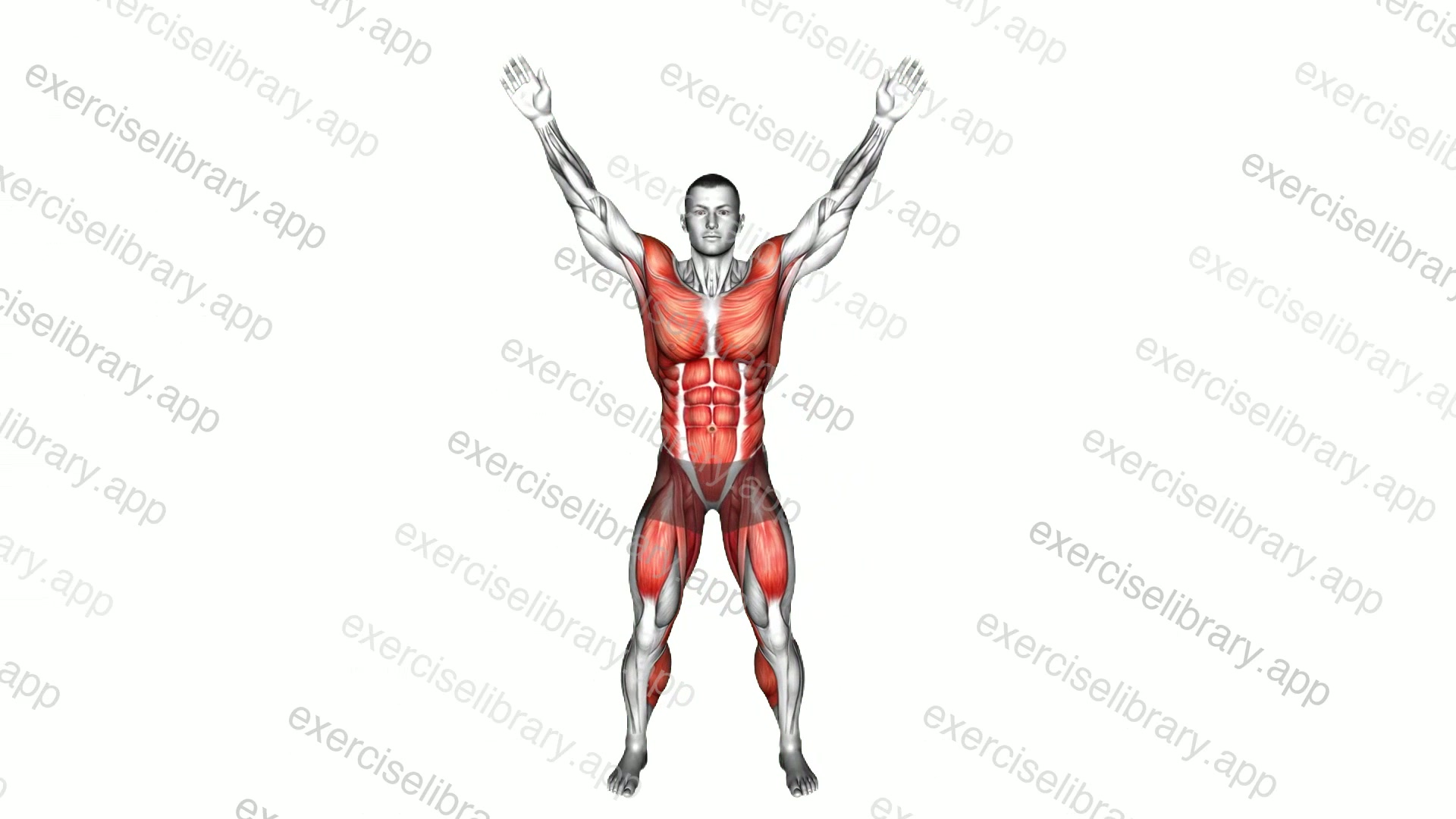 Star Obliques Twist High Knee demonstration
