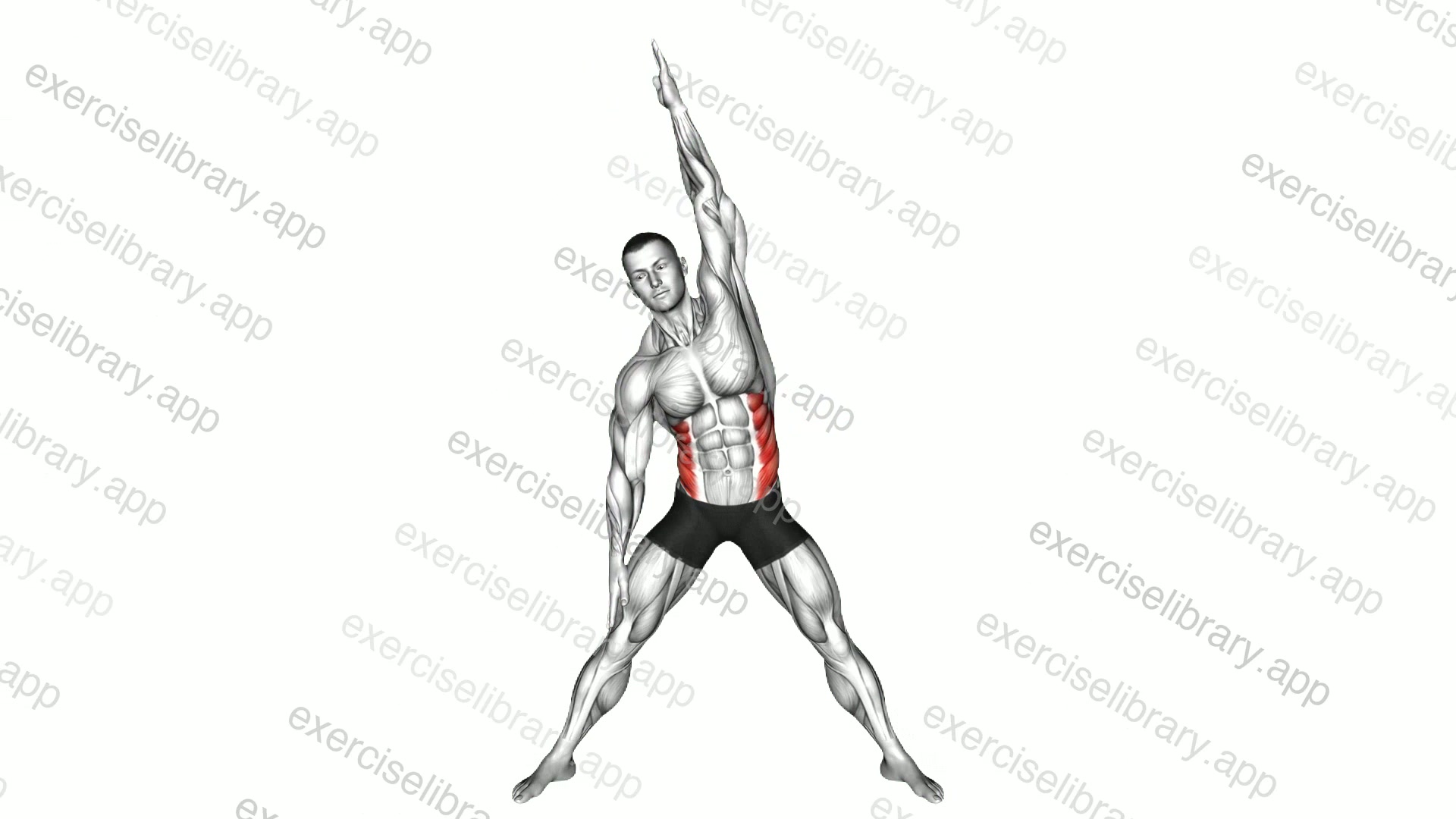 Standing Obliques Slides demonstration