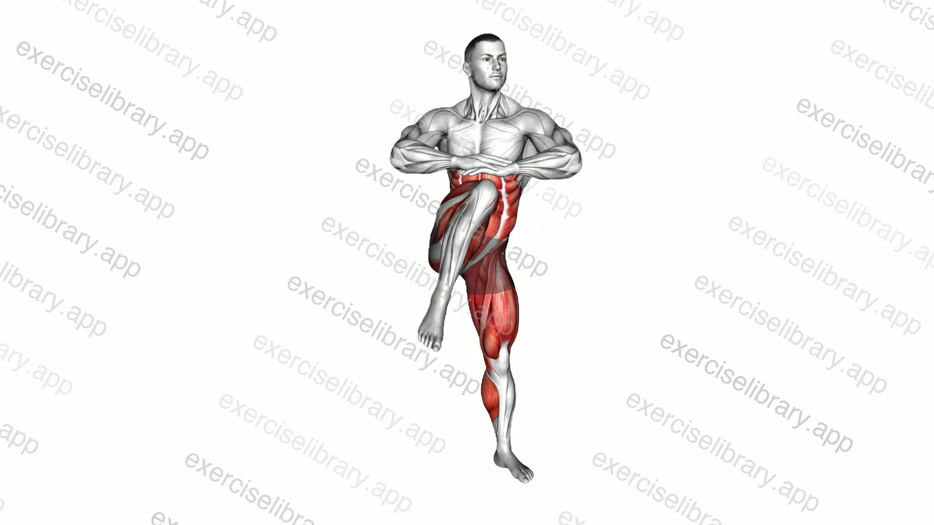 Obliques Twist High Knee and Kick demonstration