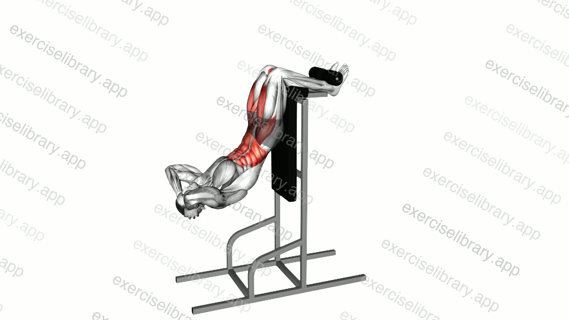 Vertical Sit-up demonstration