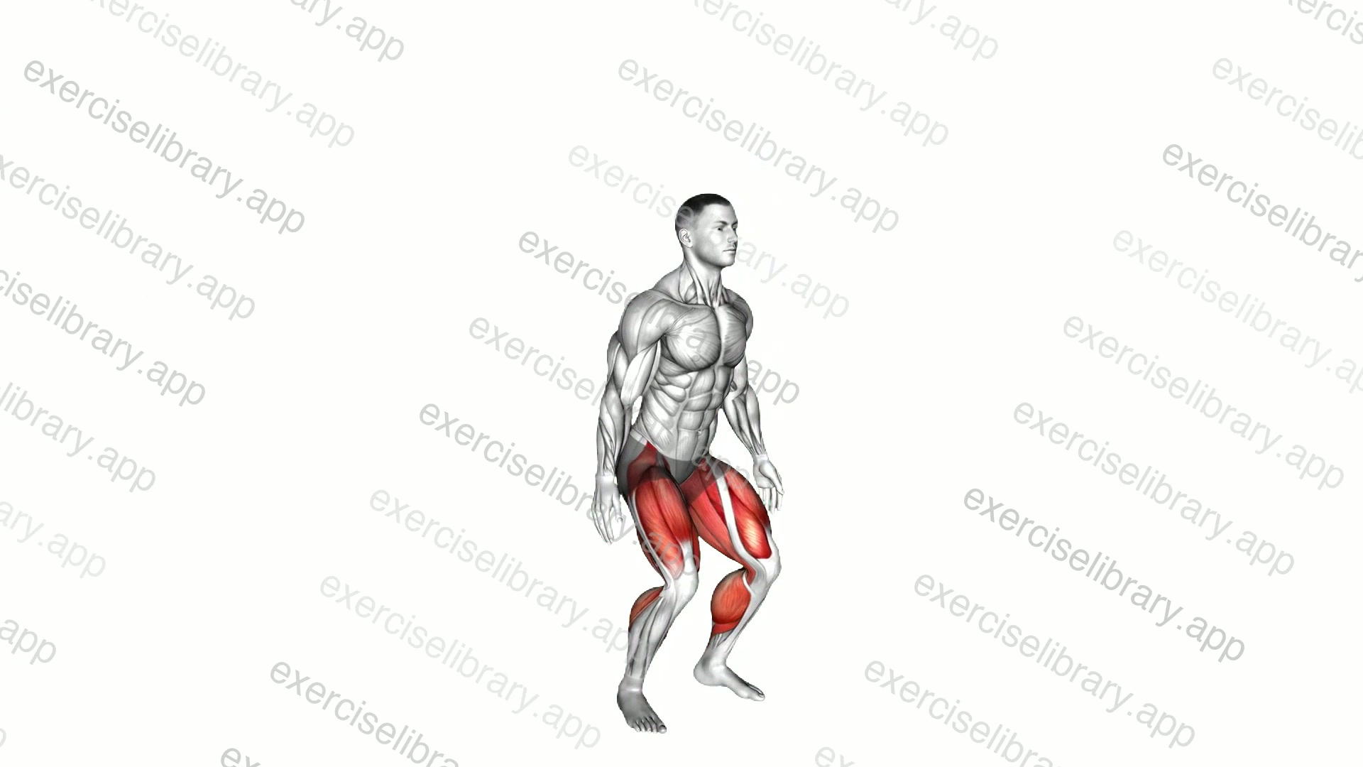 Jump Twist demonstration