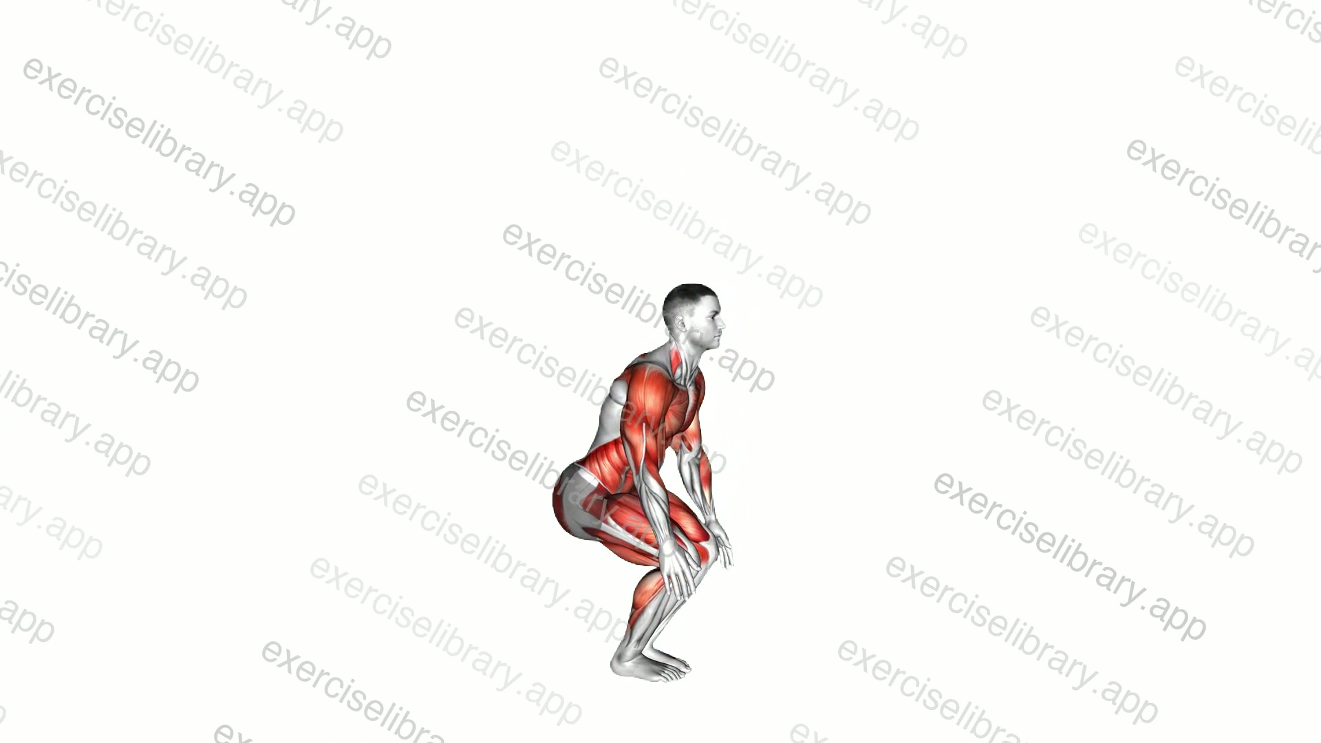 Burpee Twist demonstration