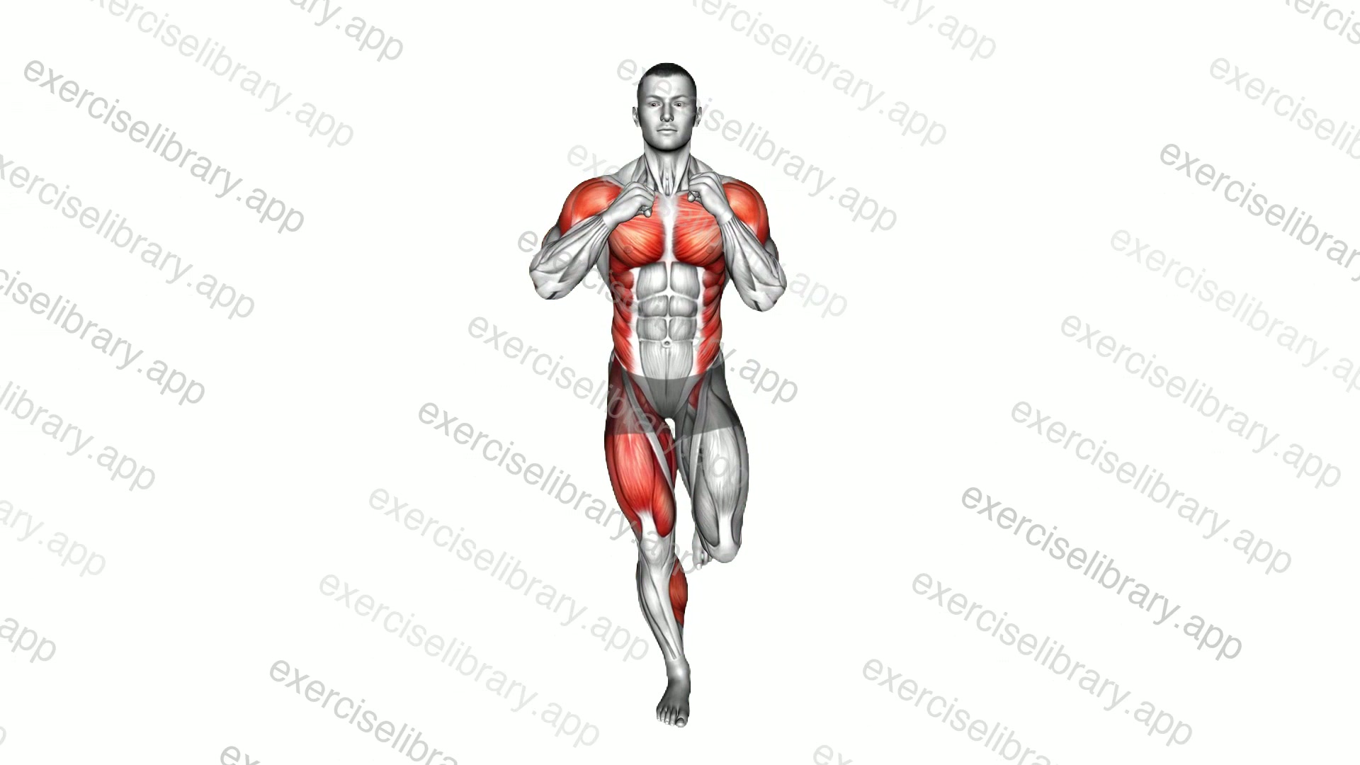 Single Leg Balance Cross Punch demonstration