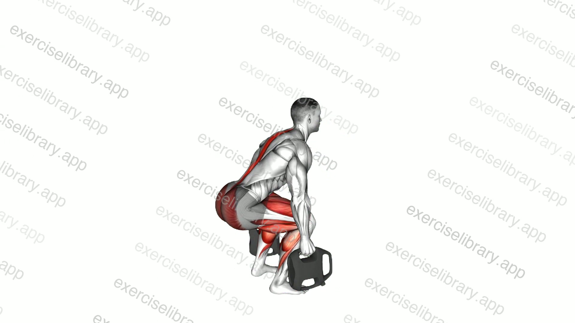 Bottle Weighted Deadlift demonstration
