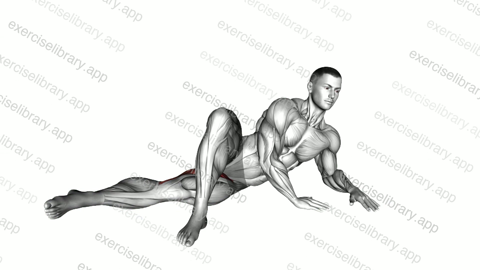 Side Lying Hip Adduction demonstration