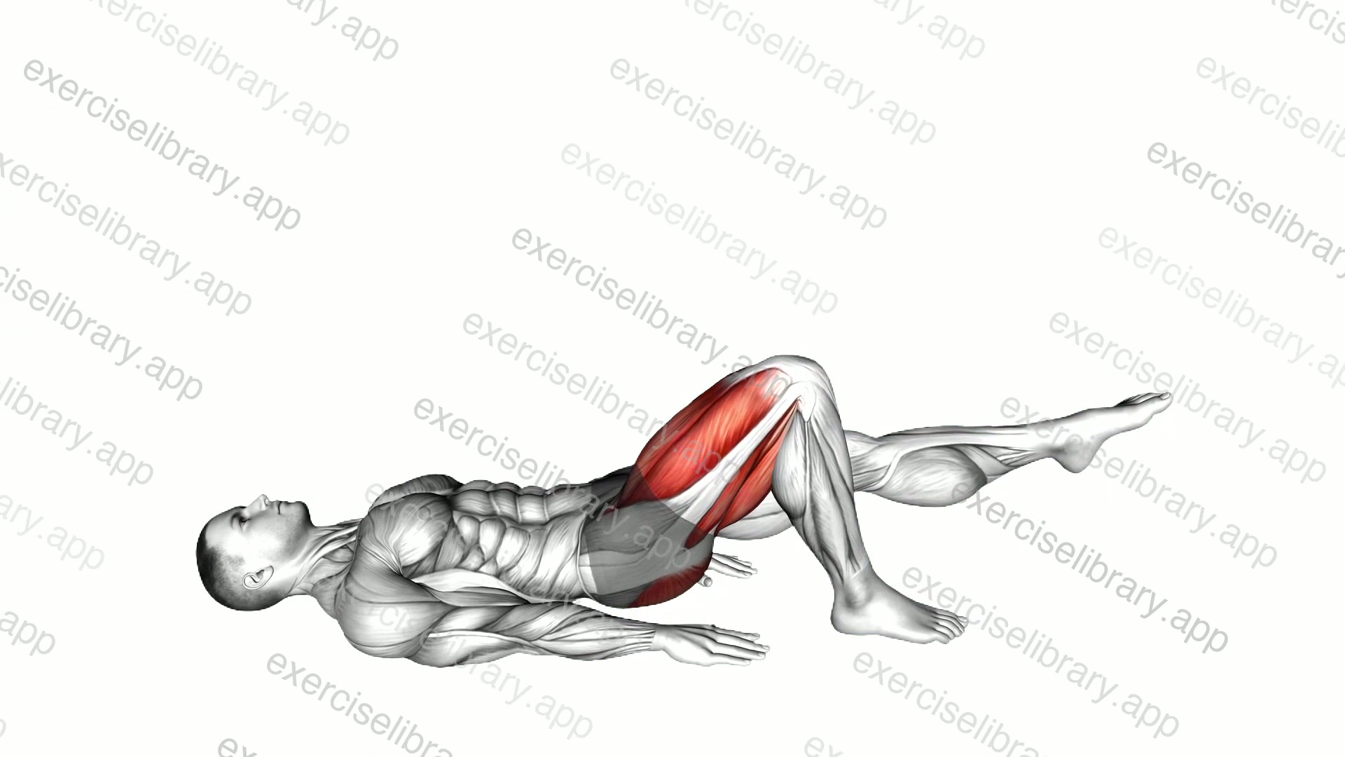 Single Leg Bridge with Outstretched Leg demonstration