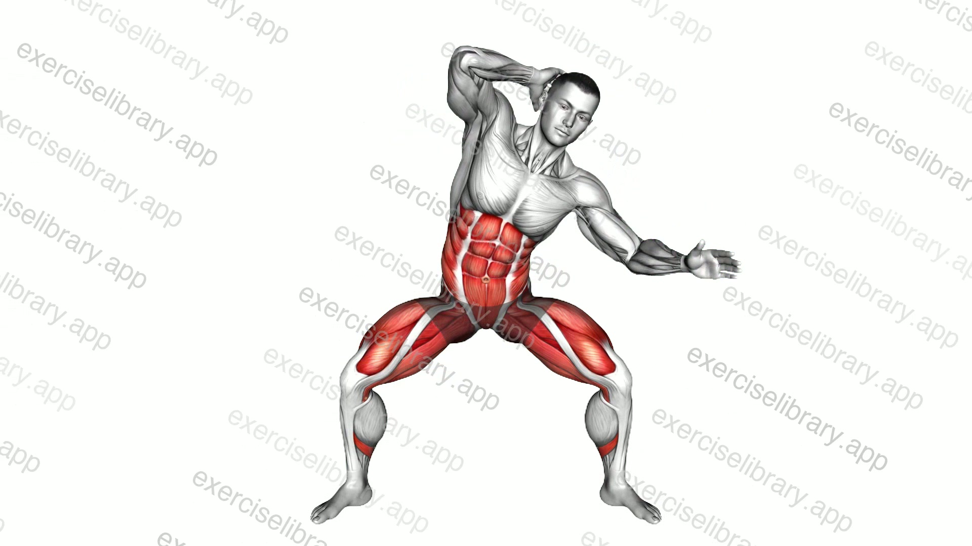 Half Squat Side Reach demonstration