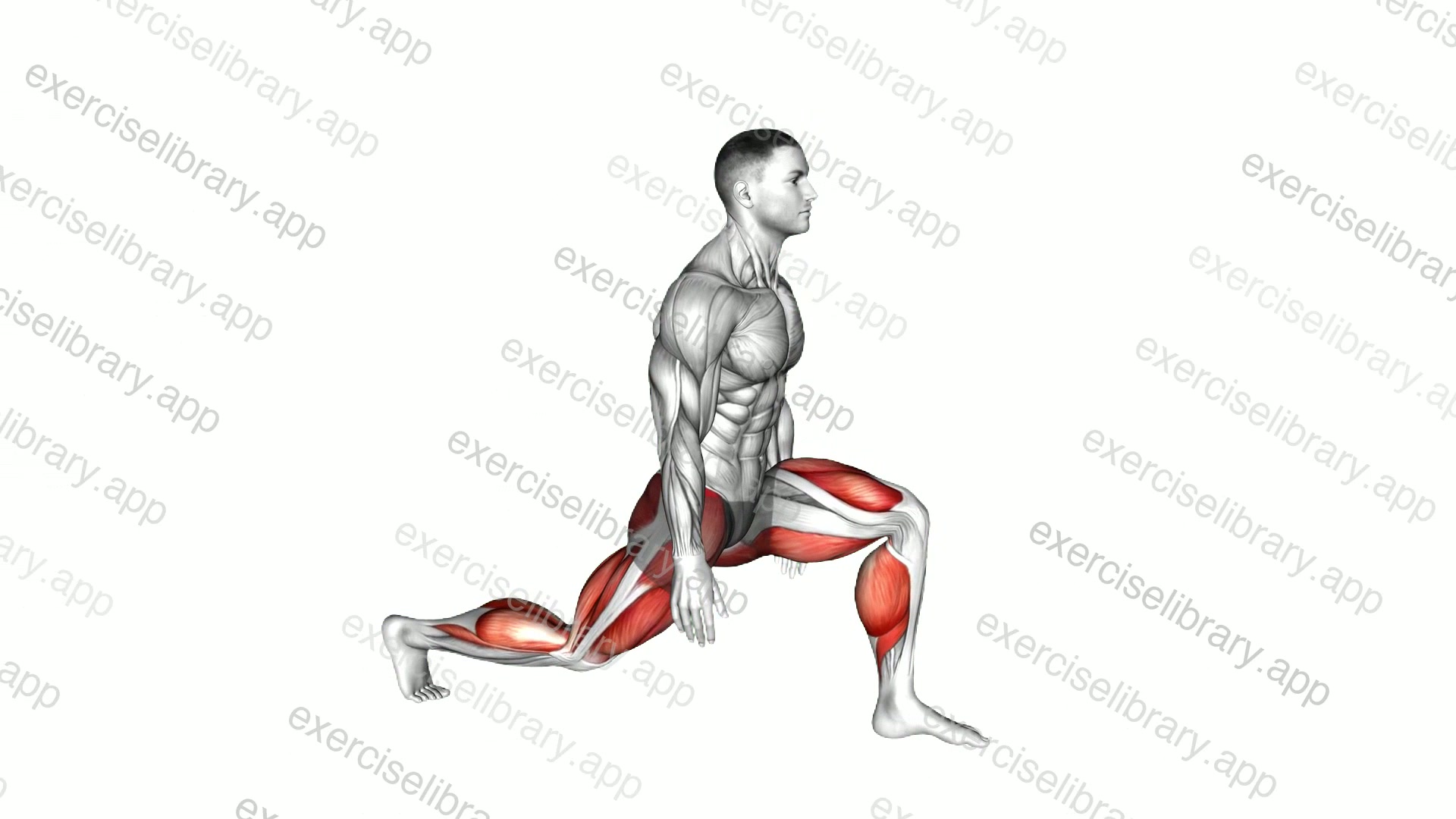 Low Lunge demonstration