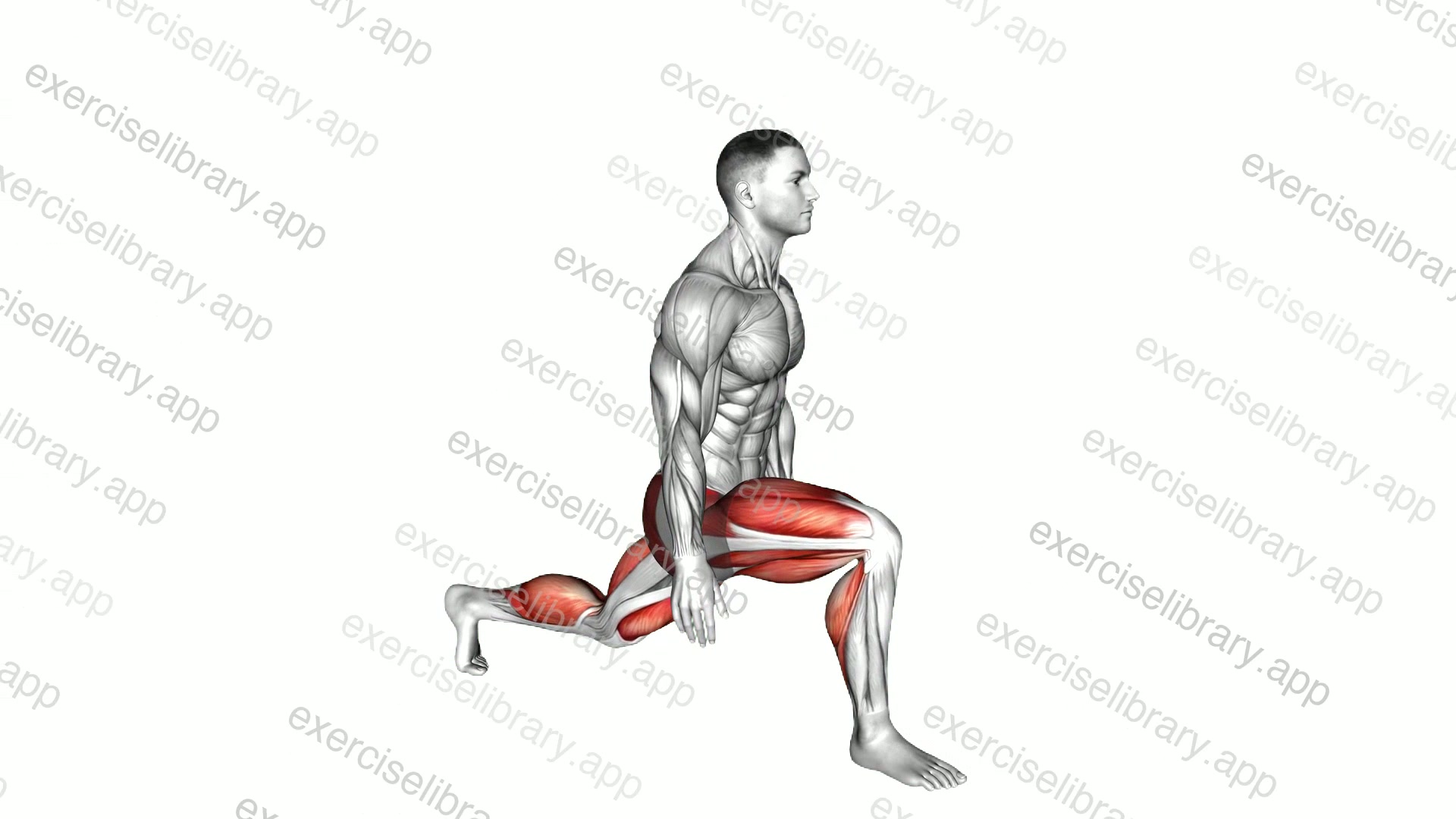 Low Lunge demonstration