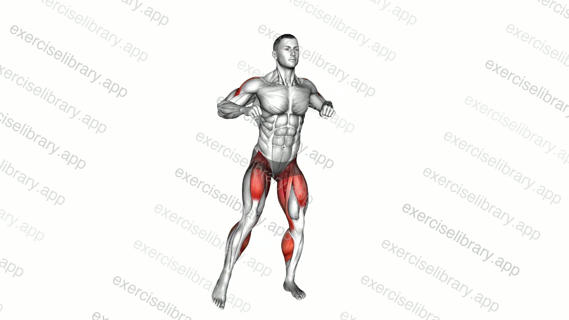 Side Step Rear Delt Row demonstration
