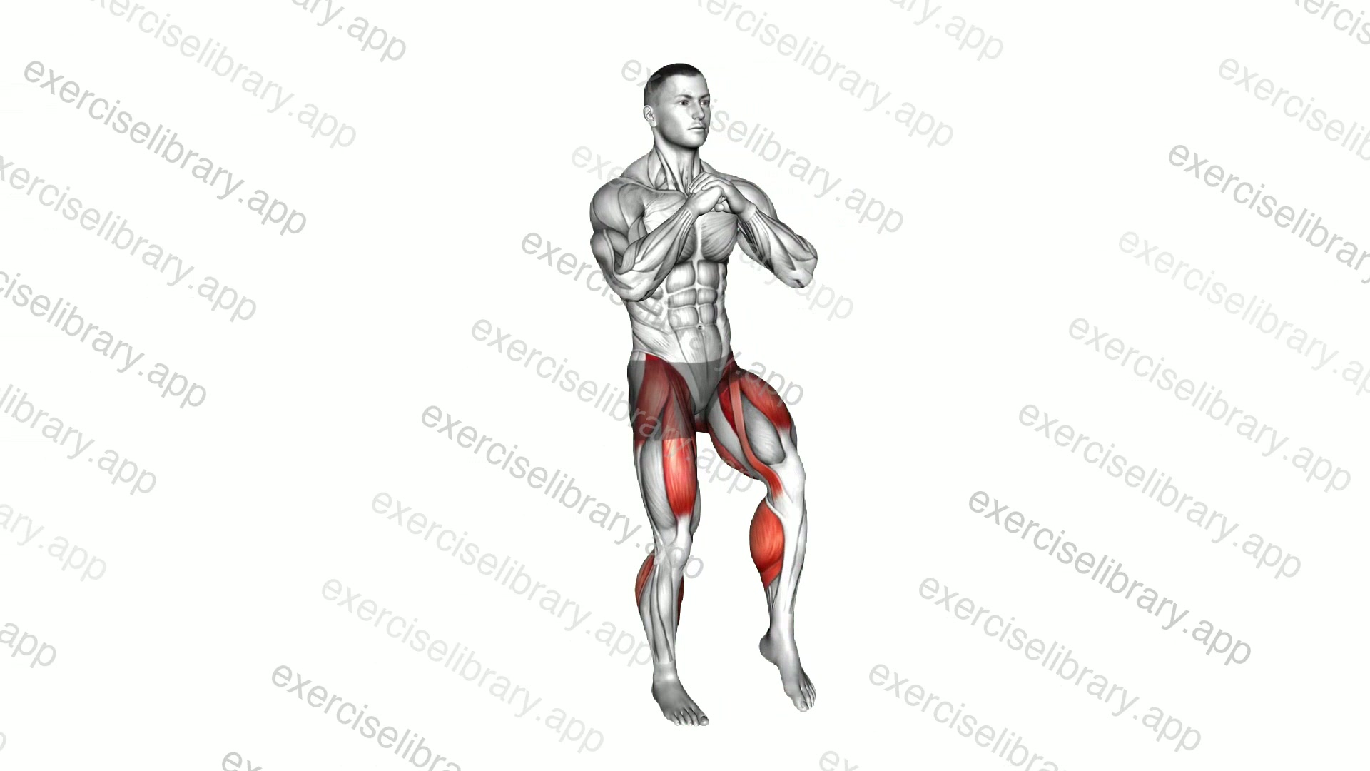 Front Leg Kick demonstration
