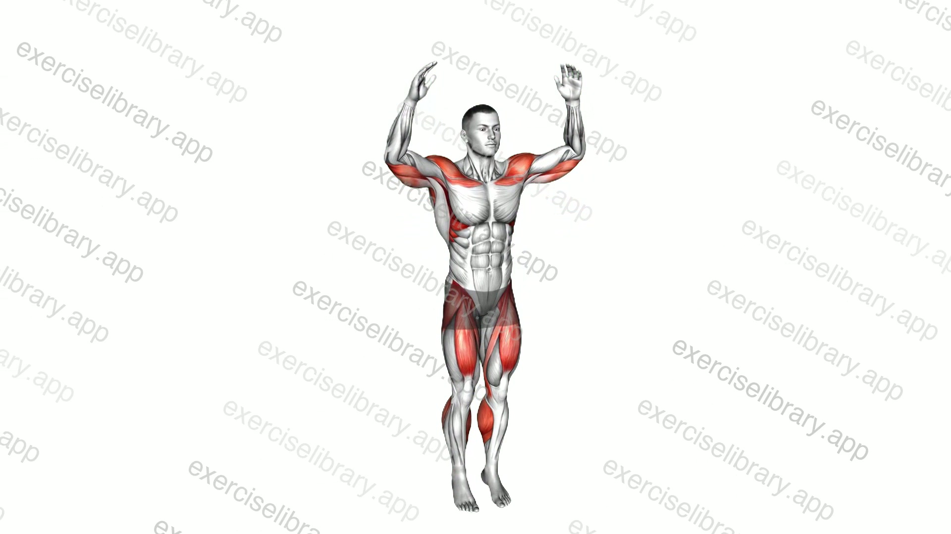 Arm Raise Step in Place demonstration
